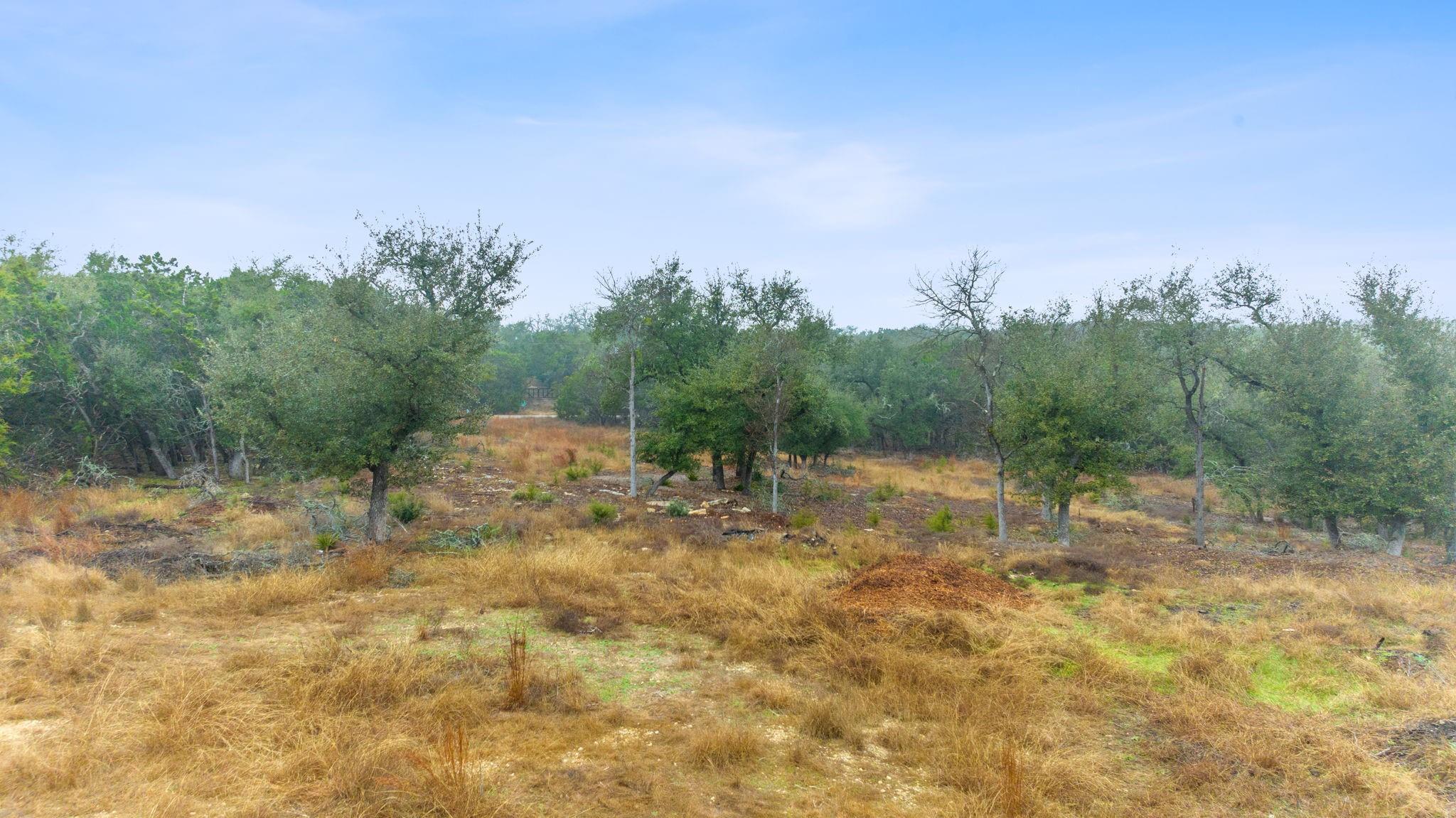 301 Lonesome Trl, Driftwood, TX 78619