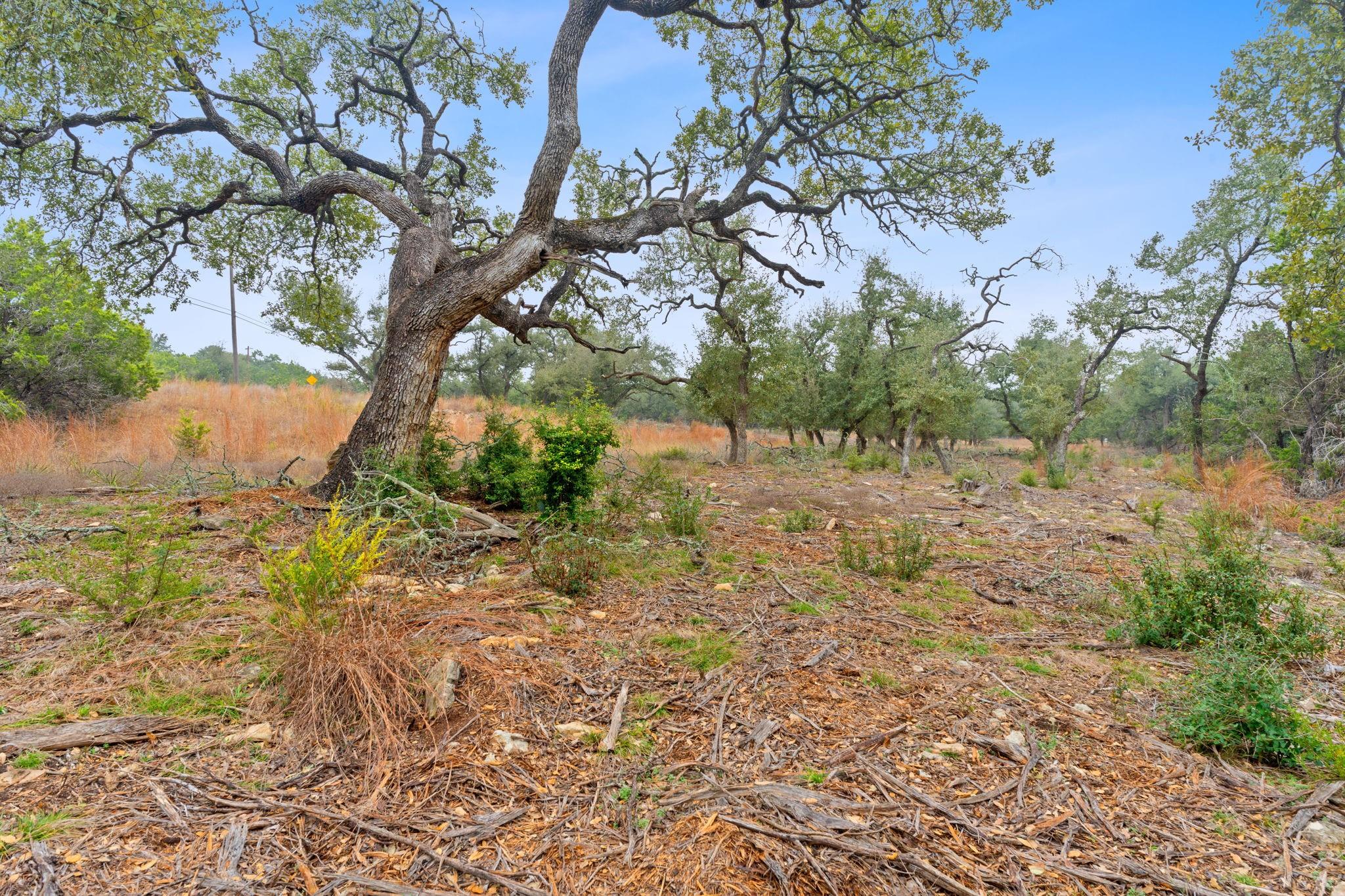 301 Lonesome Trl, Driftwood, TX 78619