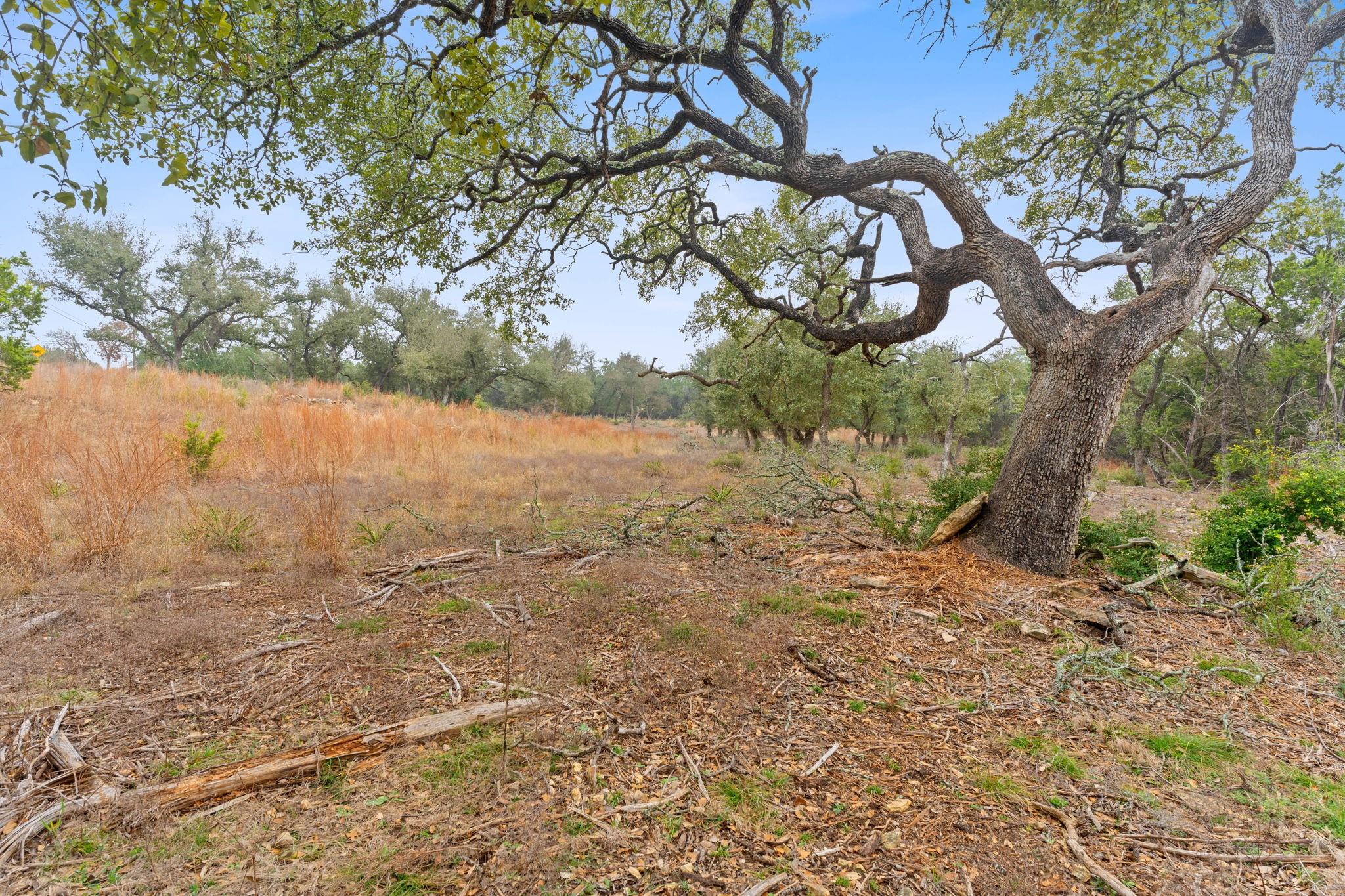 301 Lonesome Trl, Driftwood, TX 78619