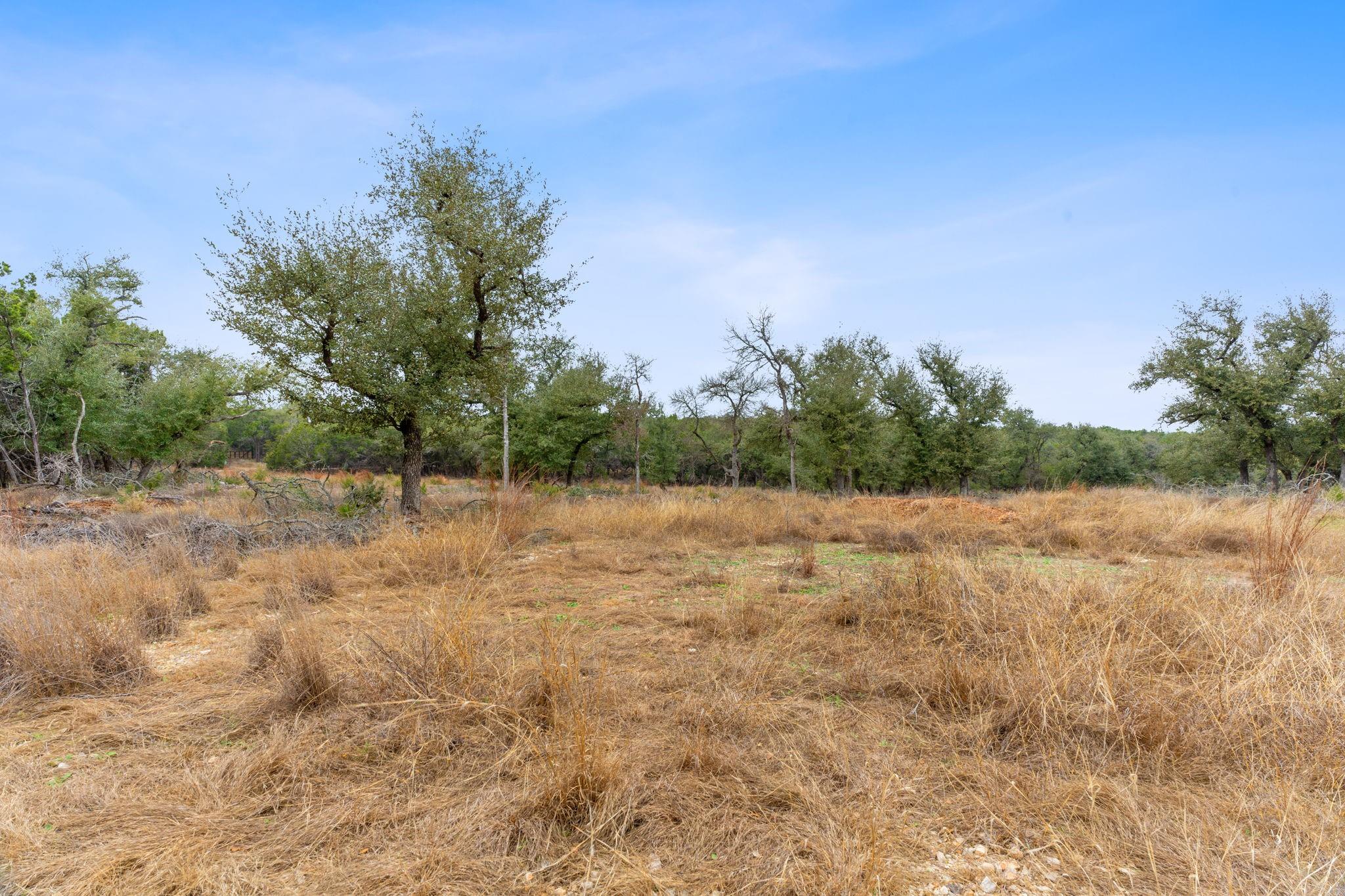 301 Lonesome Trl, Driftwood, TX 78619