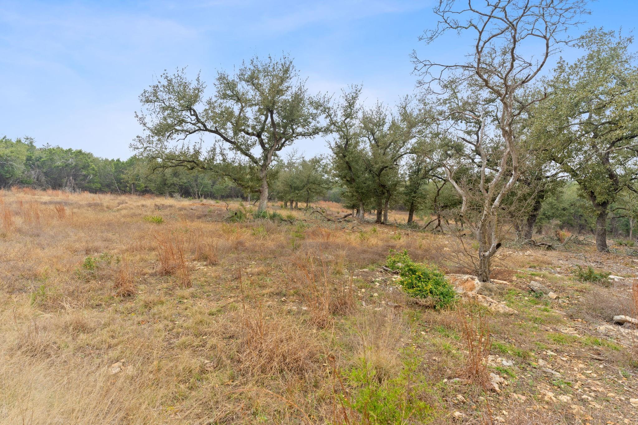 301 Lonesome Trl, Driftwood, TX 78619