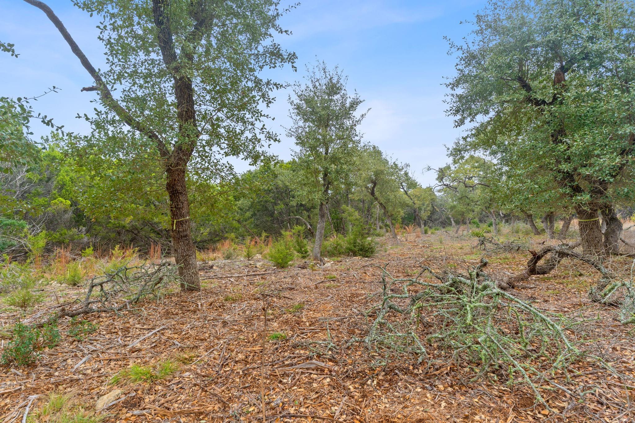 301 Lonesome Trl, Driftwood, TX 78619