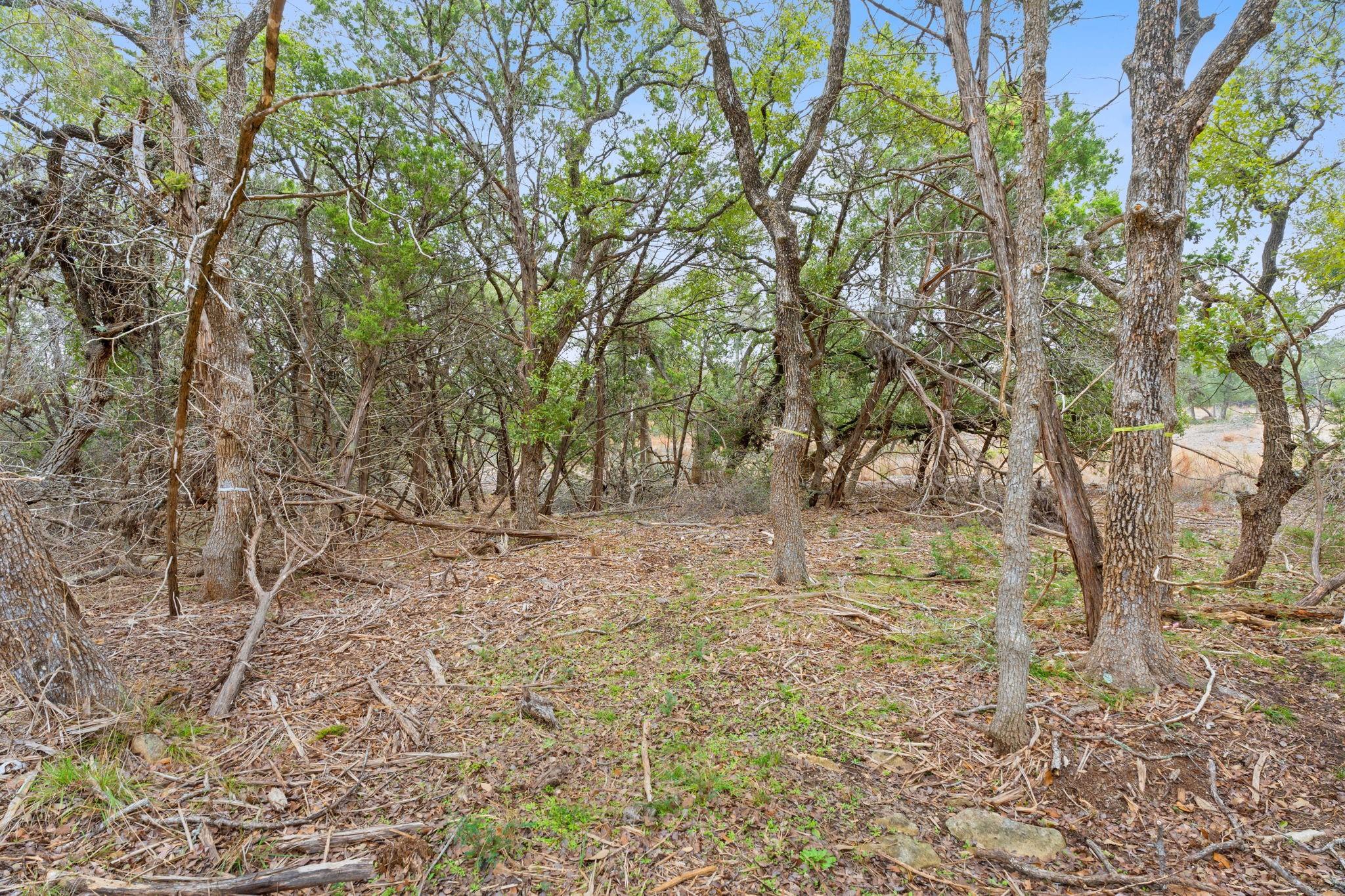 301 Lonesome Trl, Driftwood, TX 78619