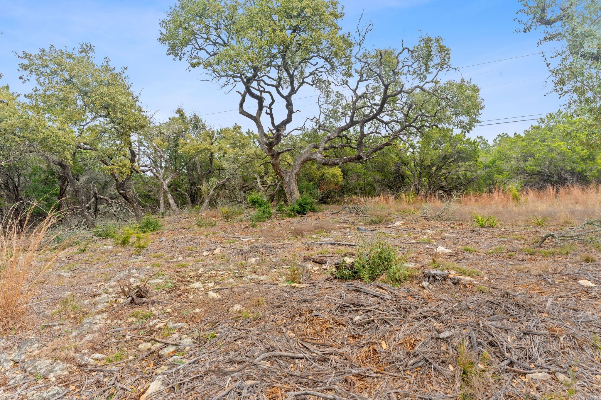 301 Lonesome Trl, Driftwood, TX 78619