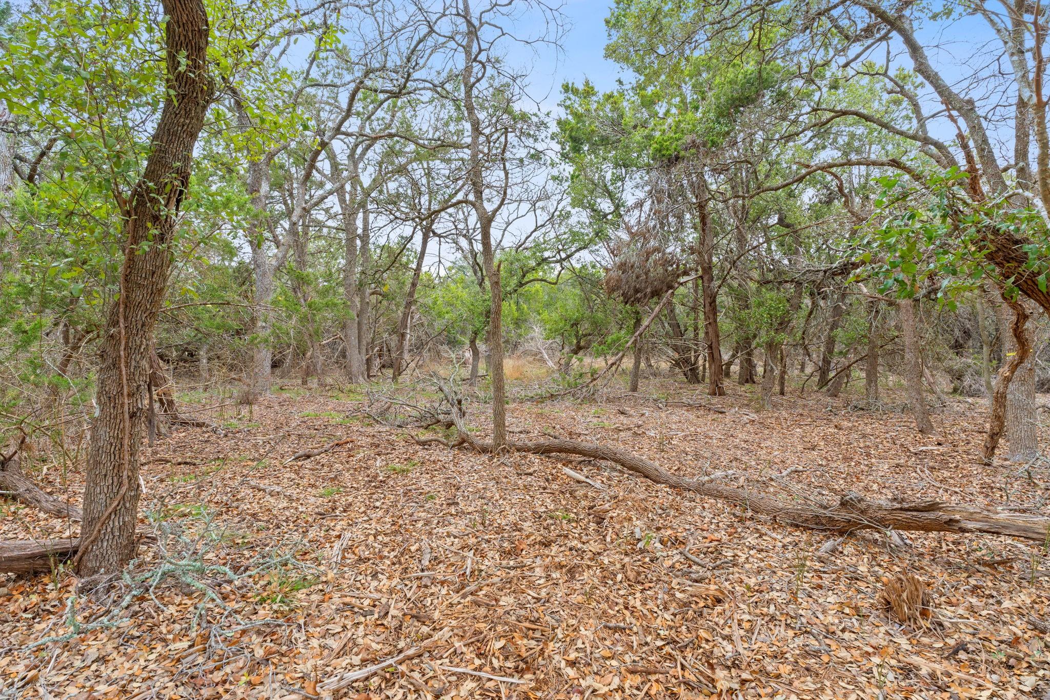 301 Lonesome Trl, Driftwood, TX 78619