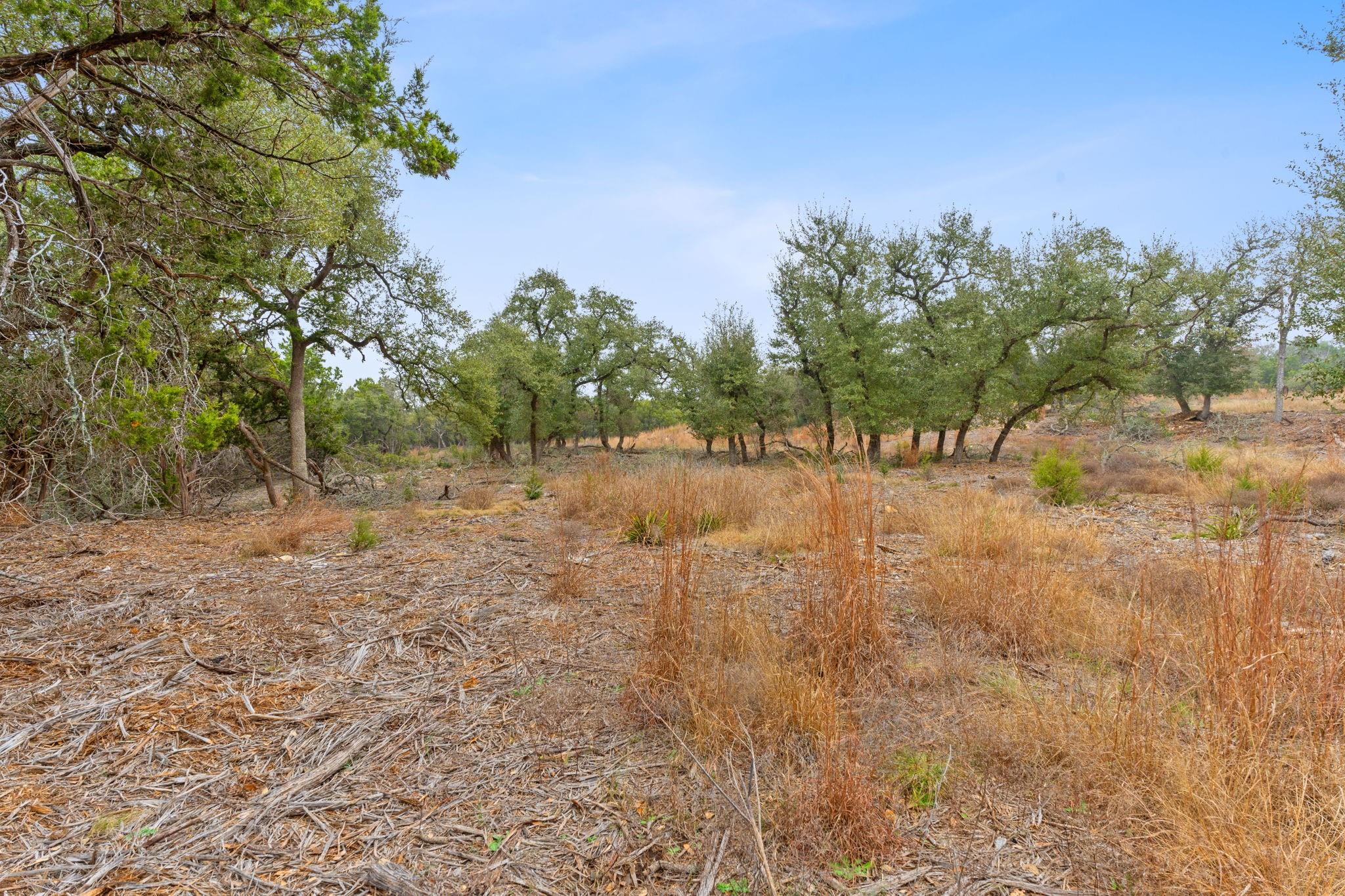 301 Lonesome Trl, Driftwood, TX 78619