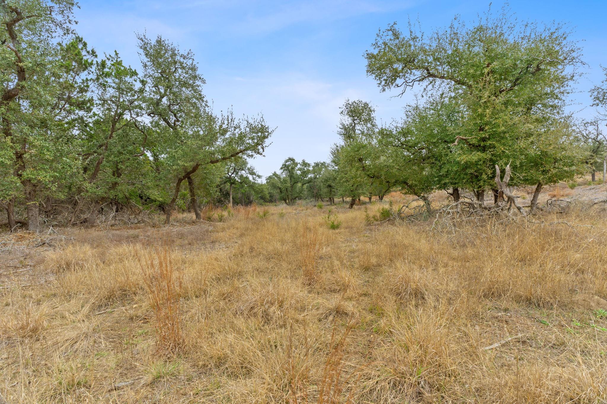 301 Lonesome Trl, Driftwood, TX 78619