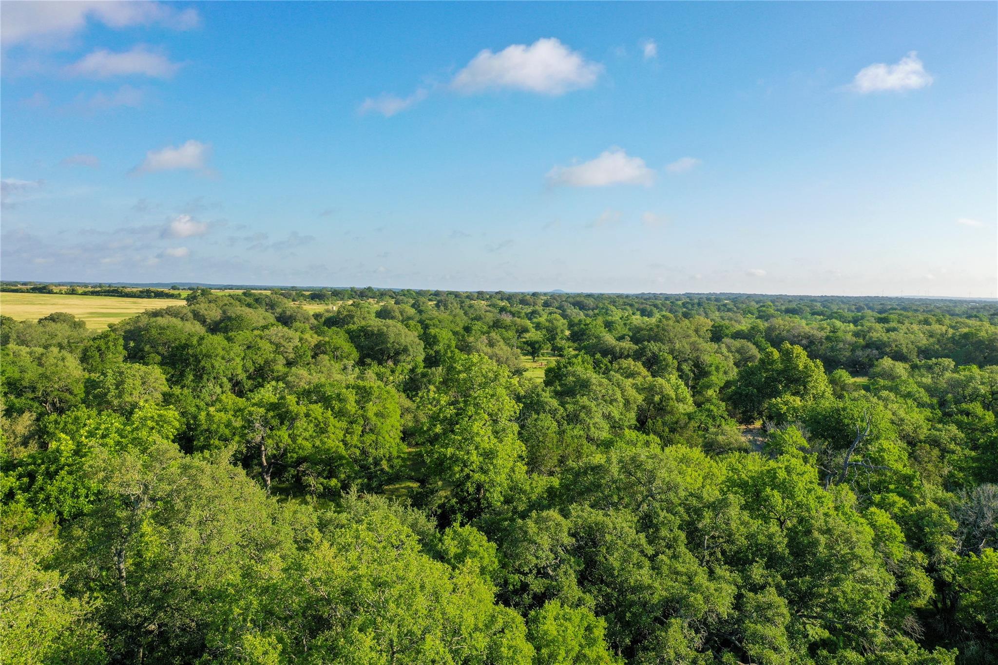 000 US-190, Lometa, TX 76853