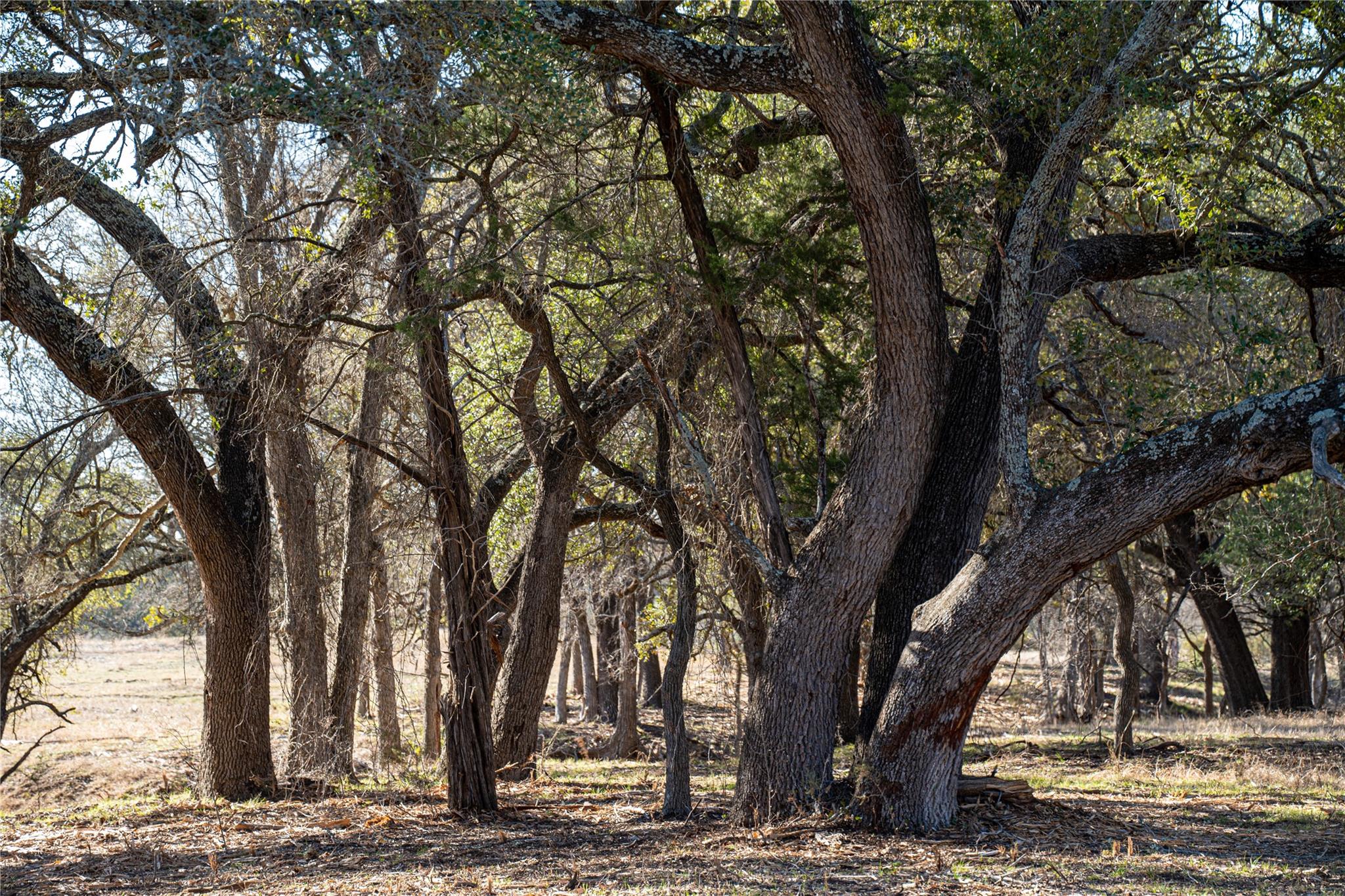000 US-190, Lometa, TX 76853