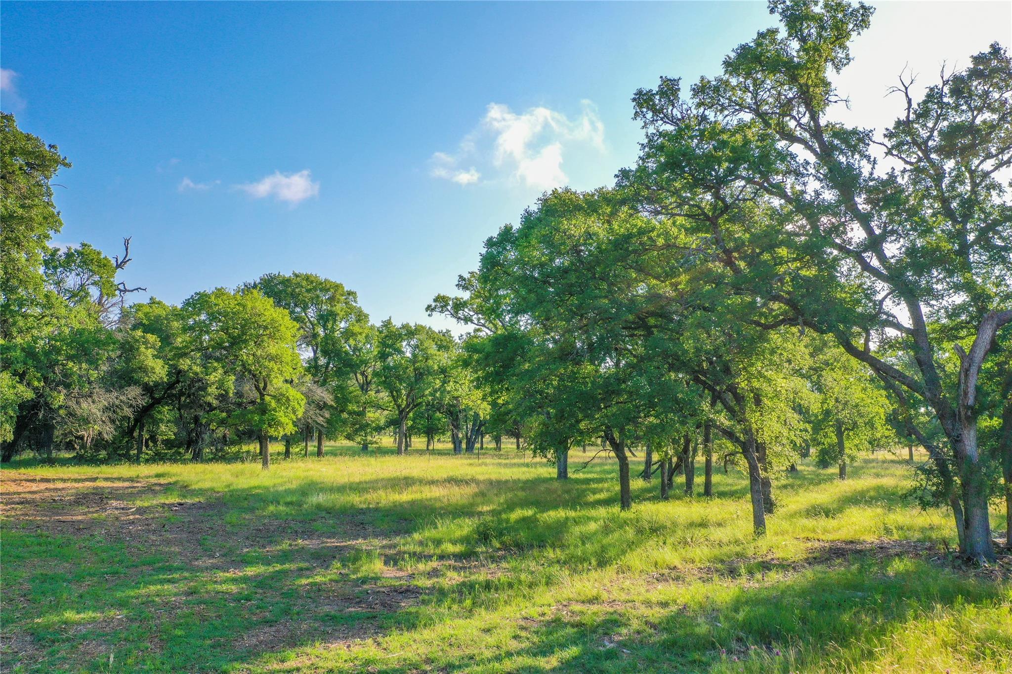 000 US-190, Lometa, TX 76853