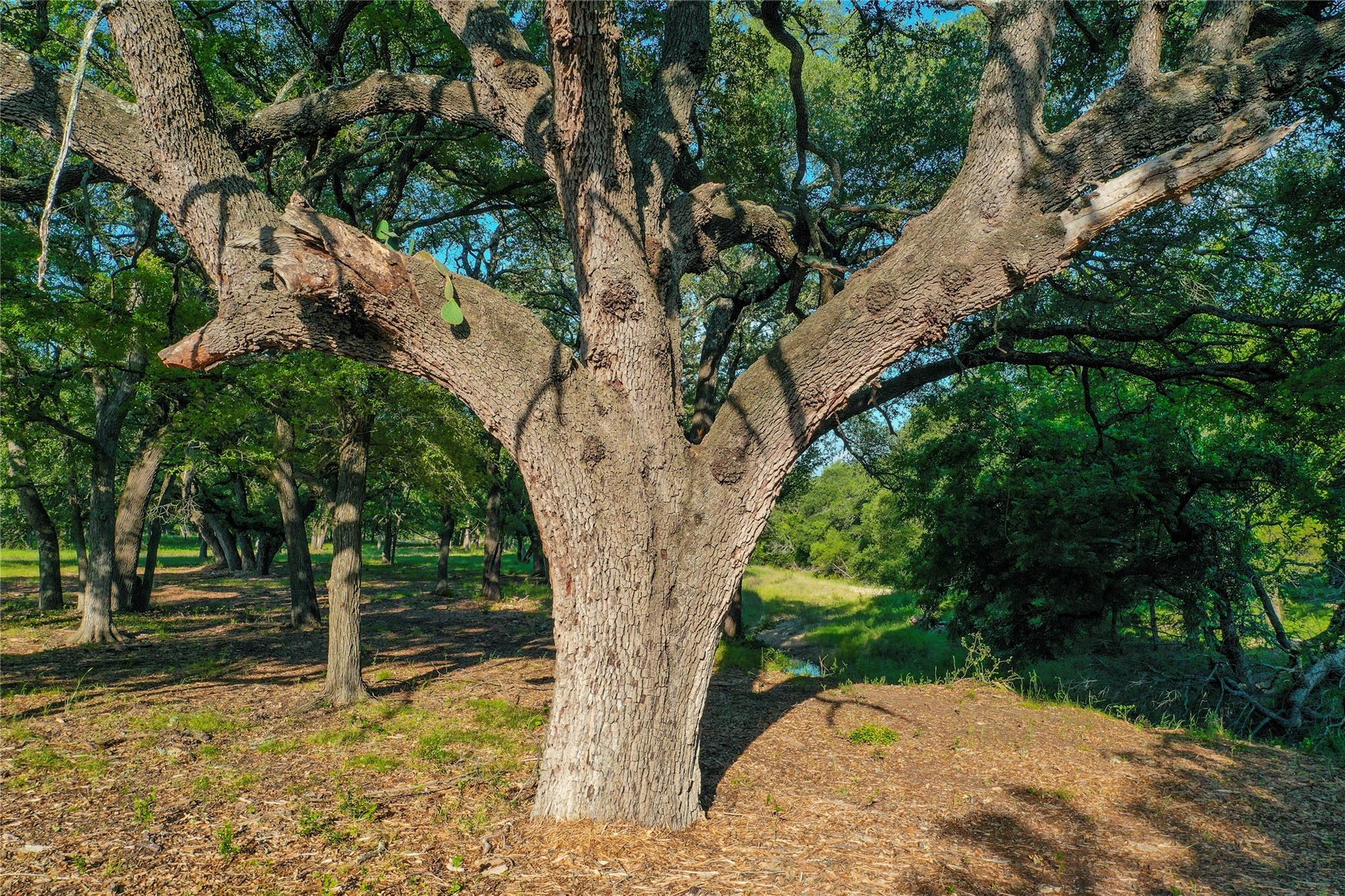 000 US-190, Lometa, TX 76853