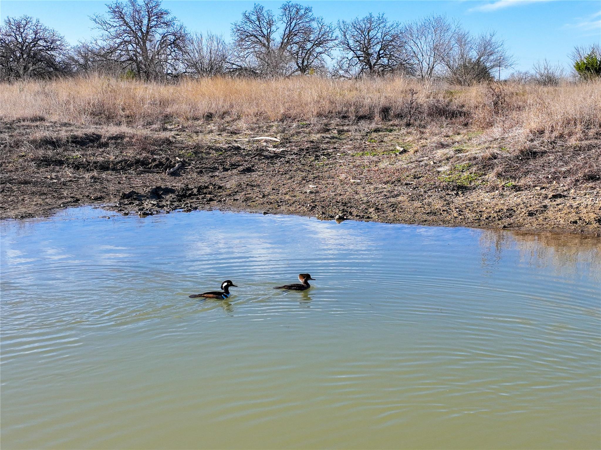 000 US-190, Lometa, TX 76853
