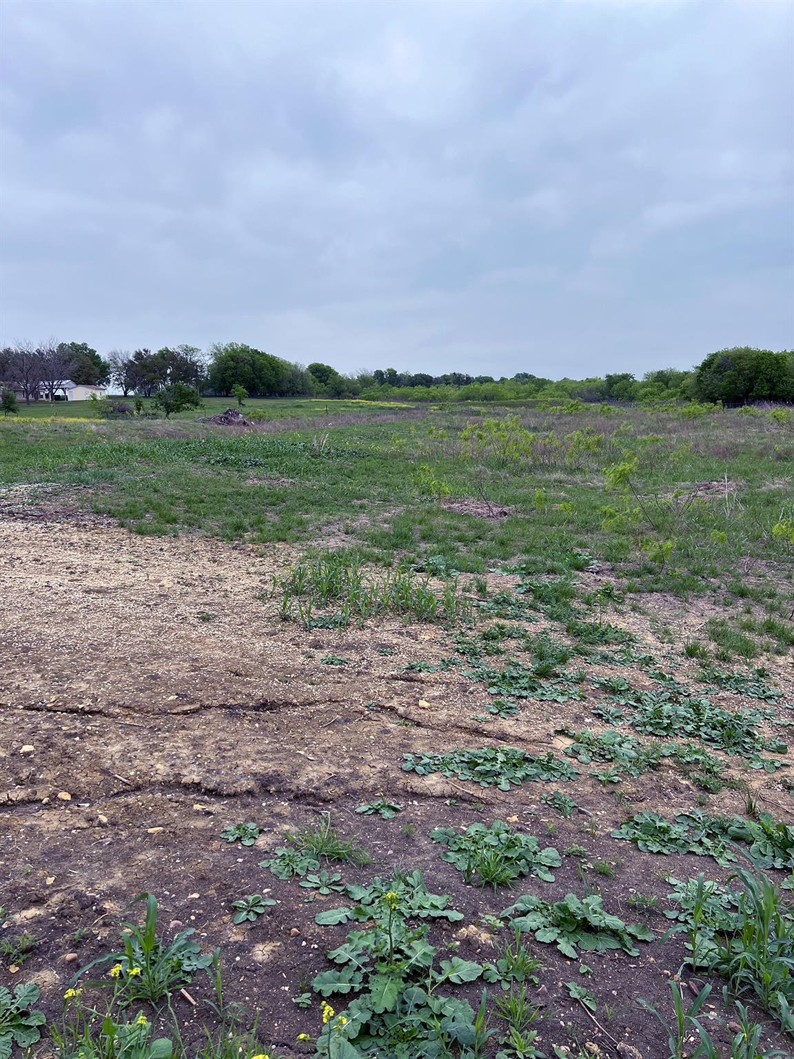 3395 CR 436, Thrall, TX 76578