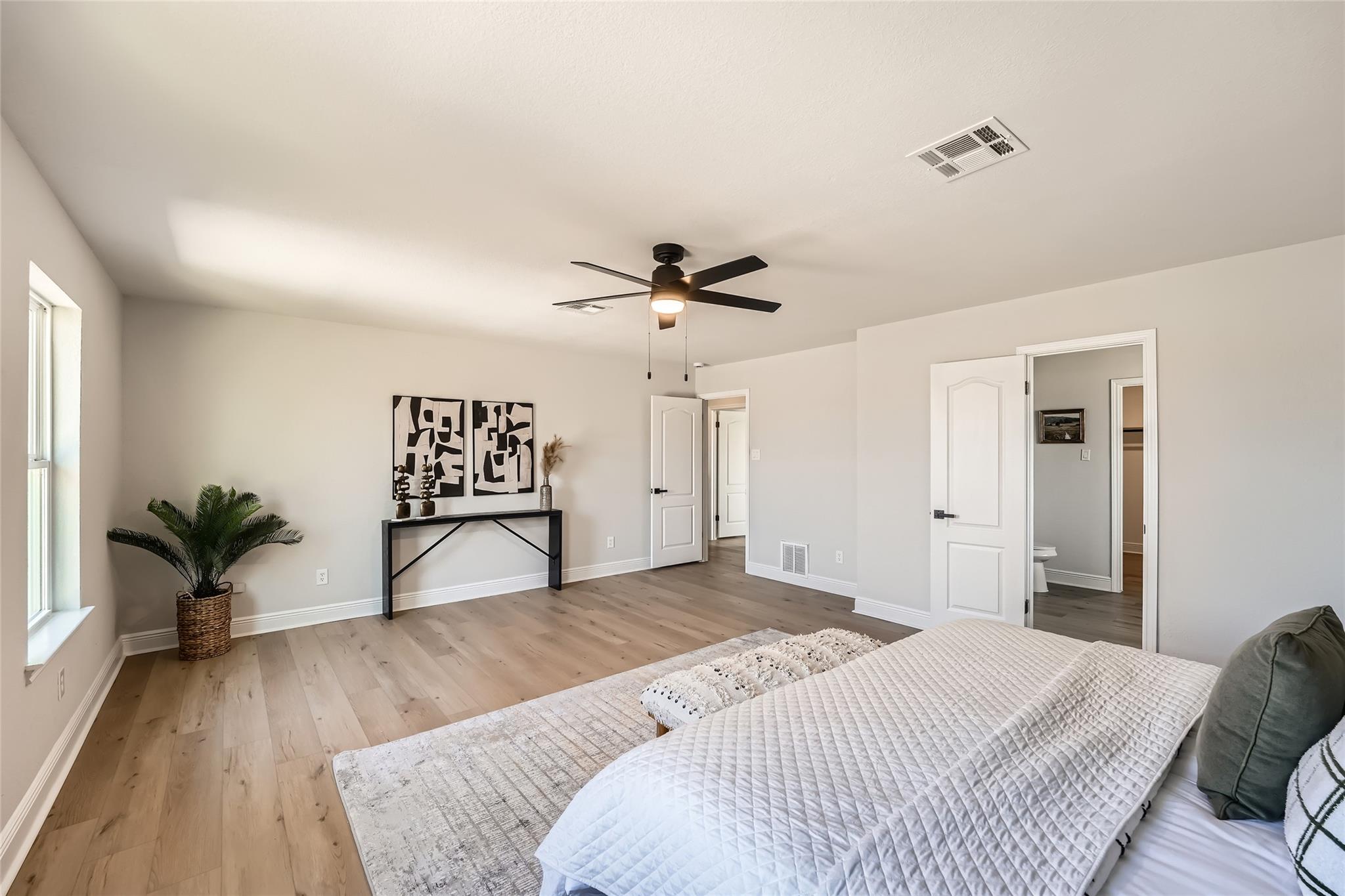 849 Satellite Vw, Round Rock, TX 78665
