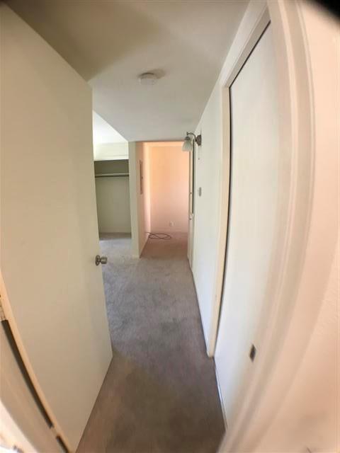 2800 Cole St # 206C, Austin, TX 78705