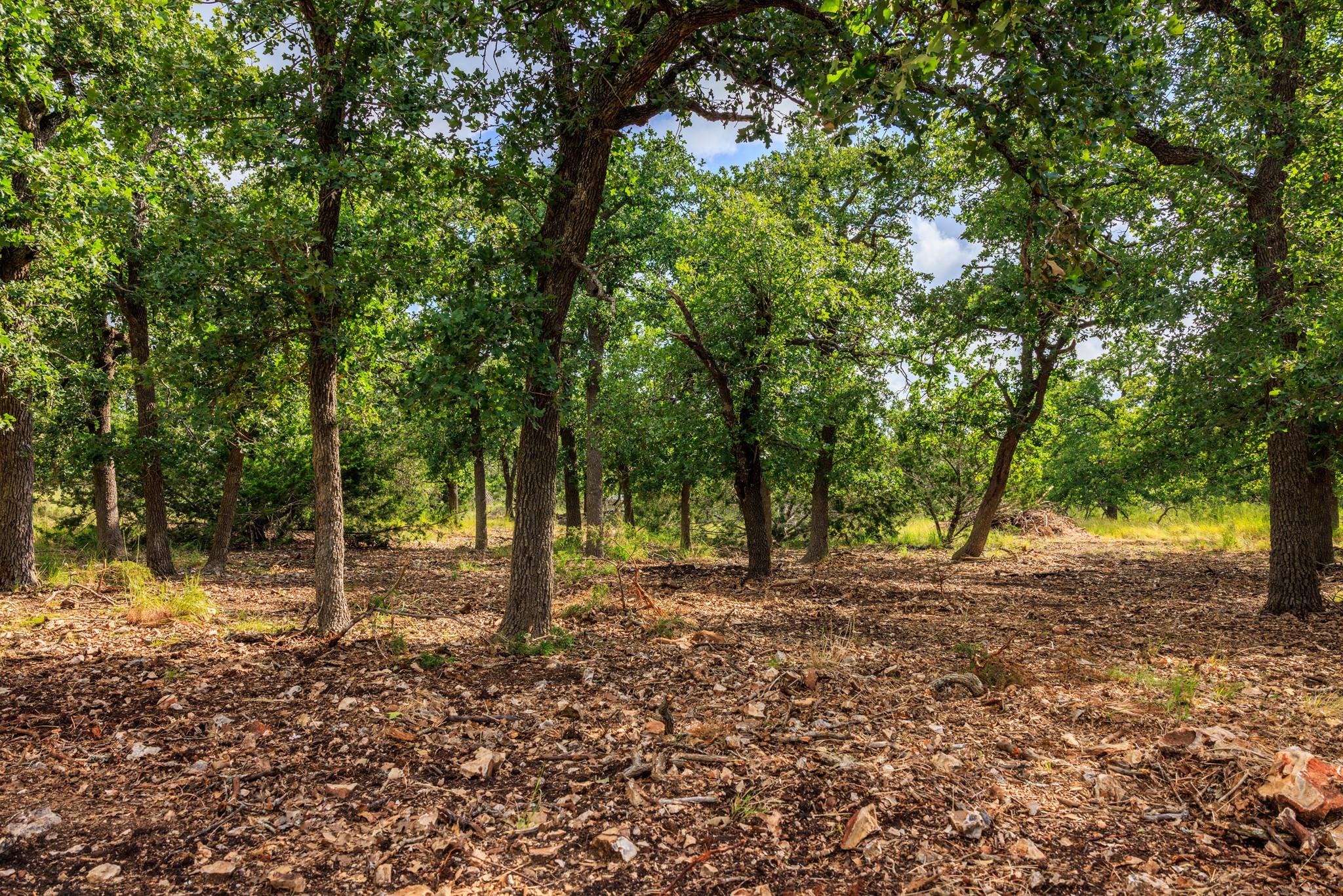 0 Adj Ln, Fredericksburg, TX 78624