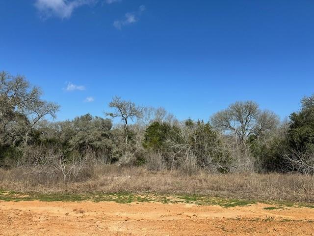 222 Fm 535, Smithville, TX 78957