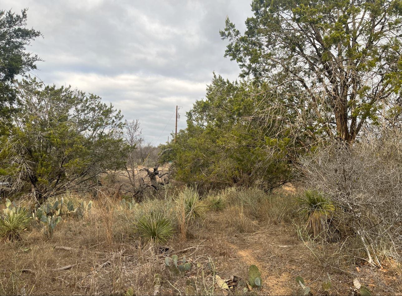 Lot 261 W Briarway Dr, Granite Shoals, TX 78654