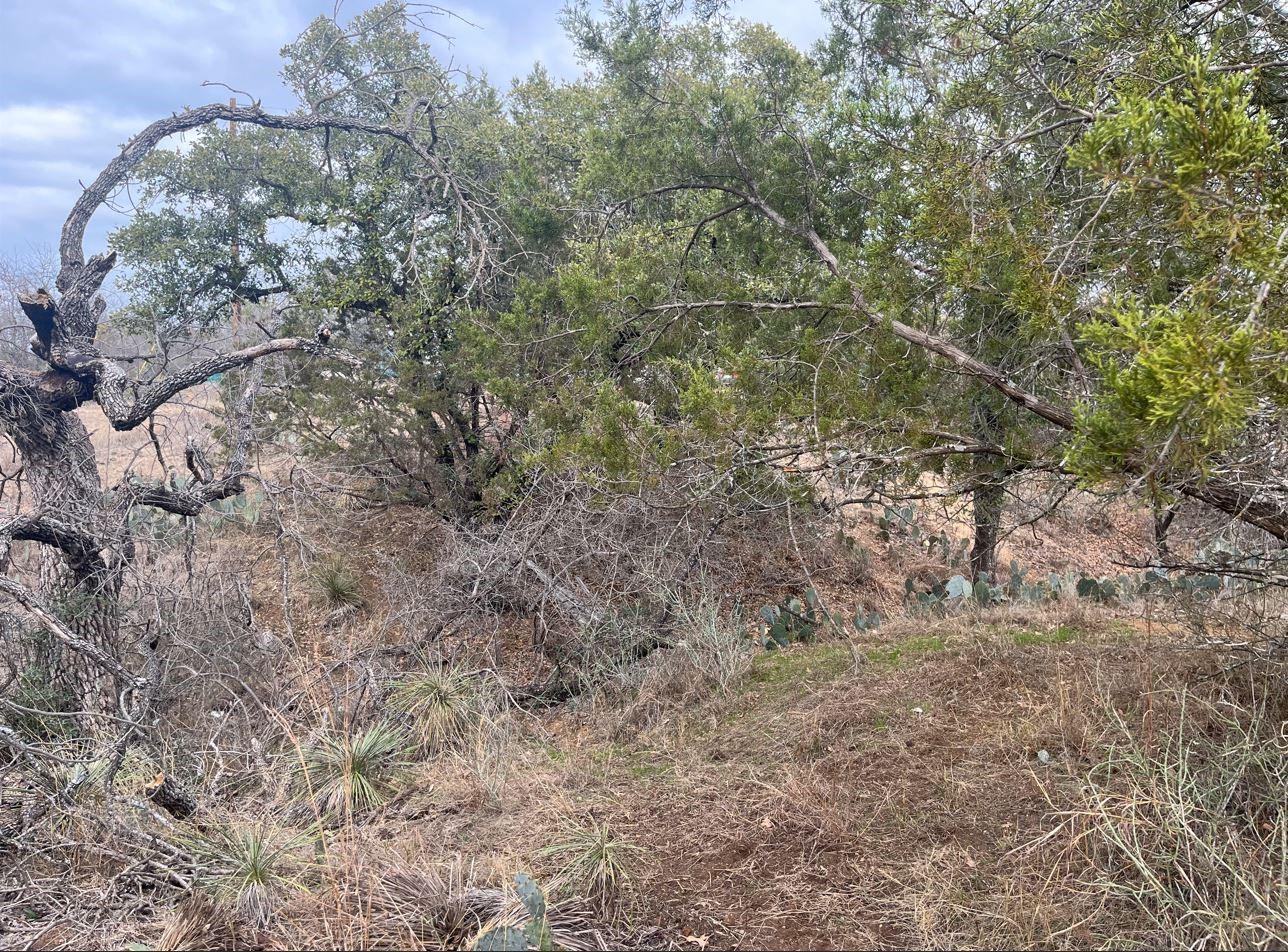 Lot 261 W Briarway Dr, Granite Shoals, TX 78654