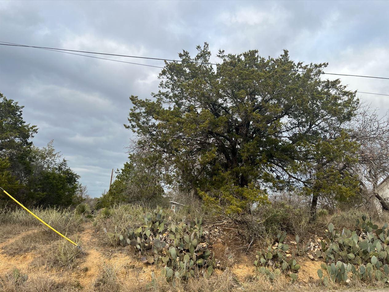Lot 261 W Briarway Dr, Granite Shoals, TX 78654