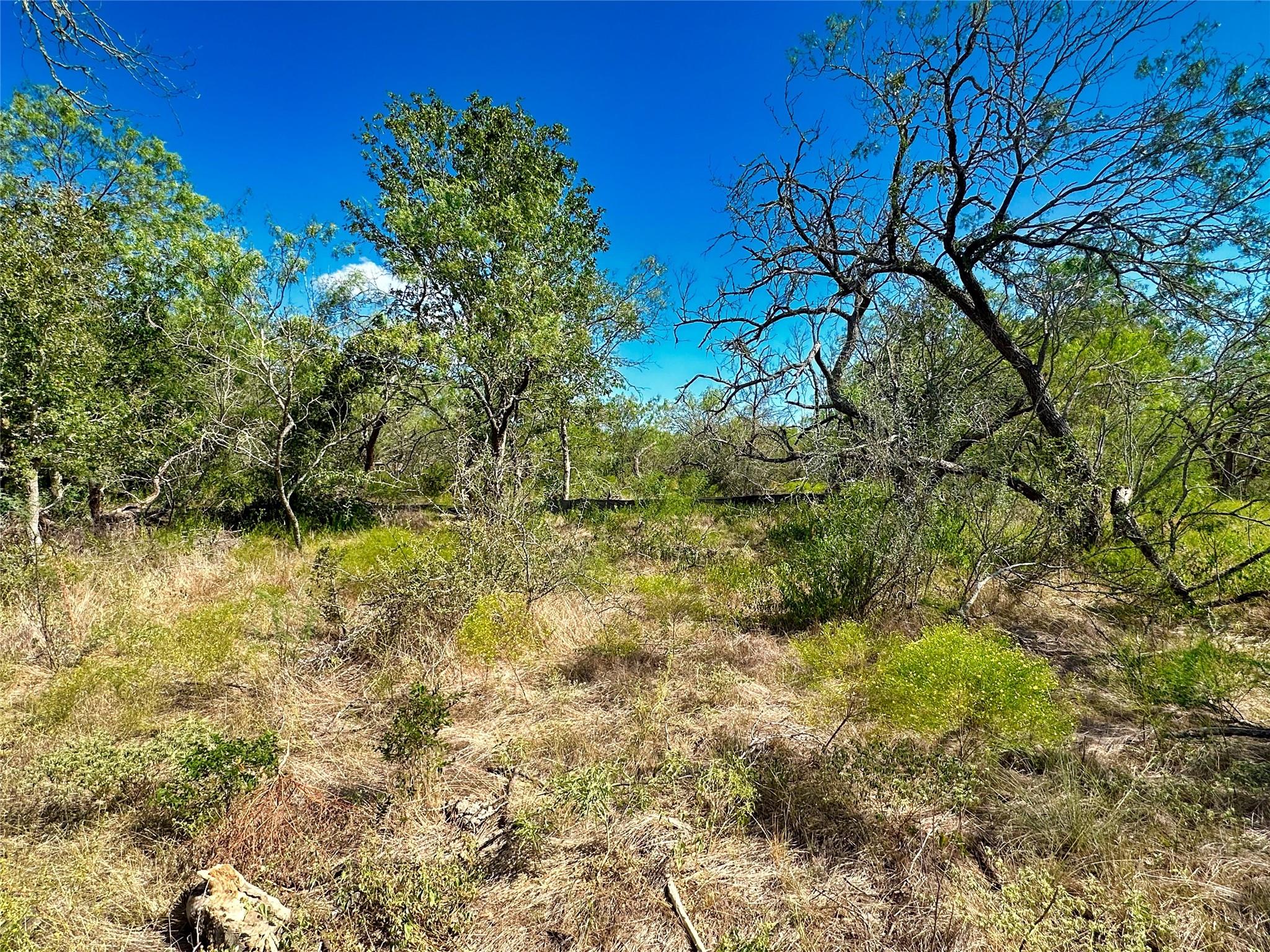 280 Brinley Mae Way, Lockhart, TX 78644