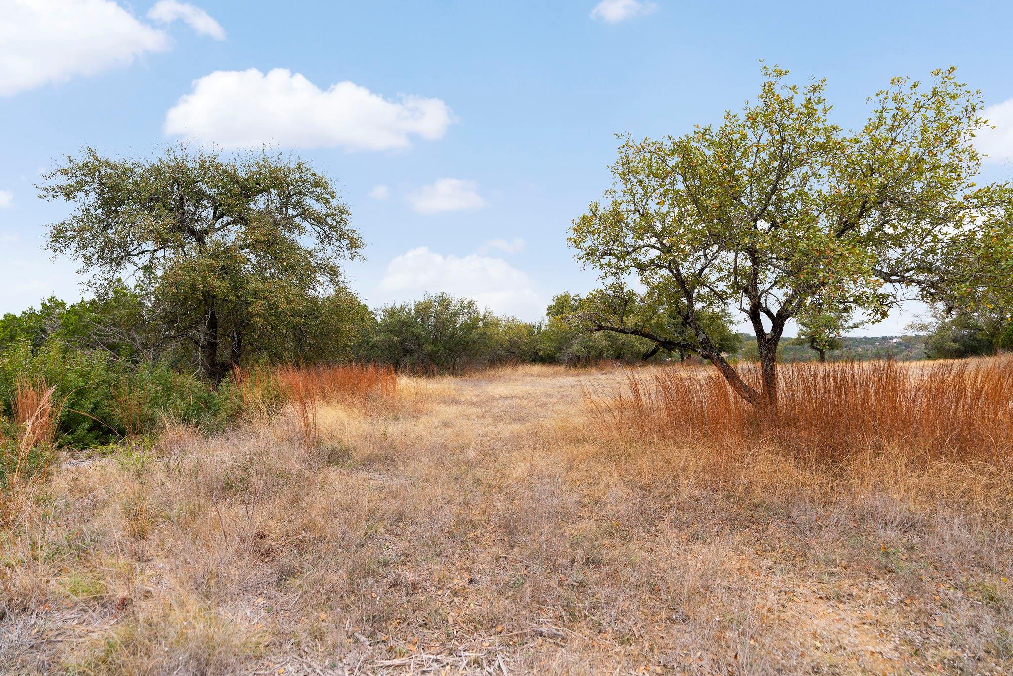 21418 Kathy Ln, Spicewood, TX 78669