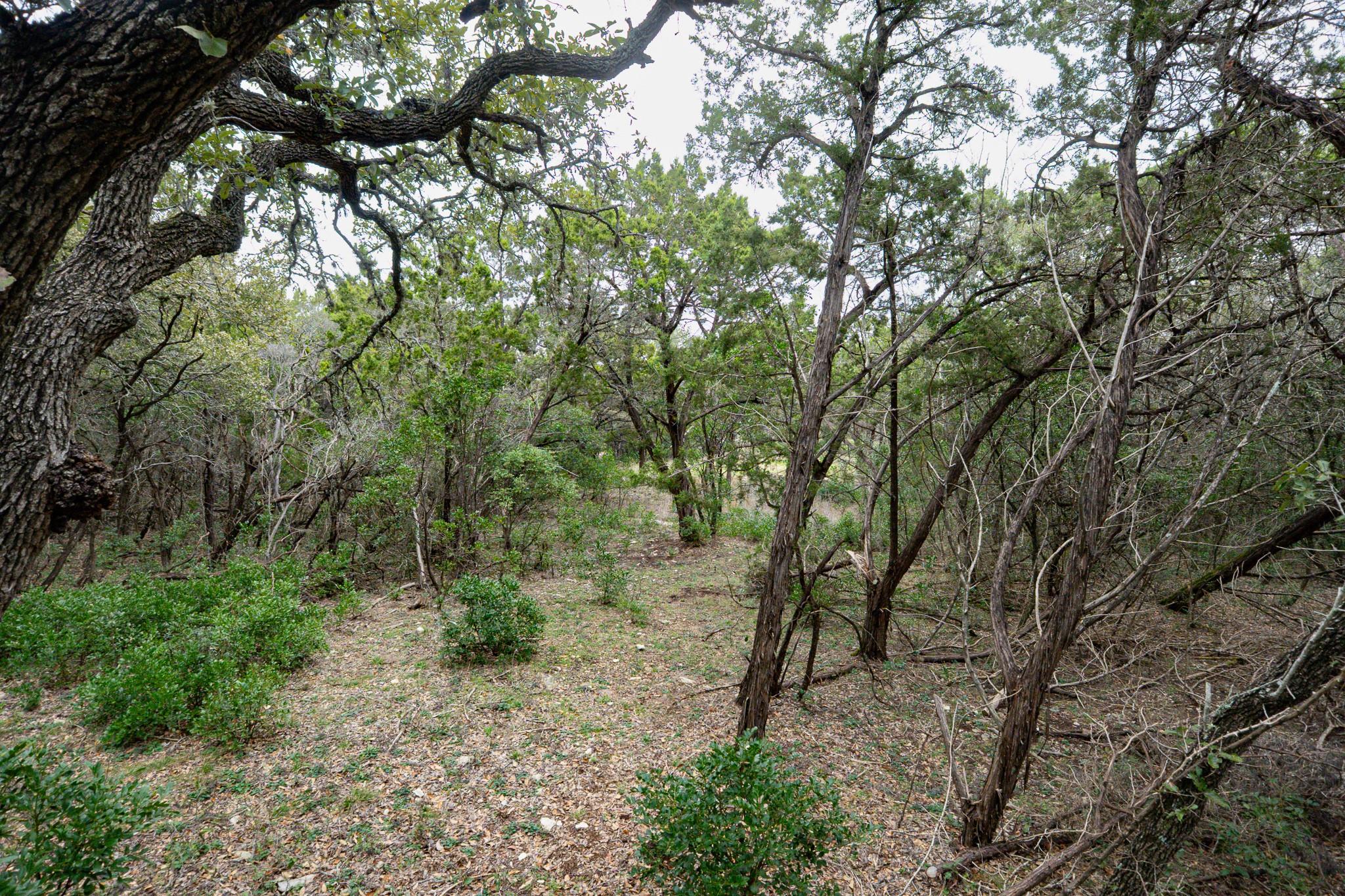 101 Blanco River Ranch, San Marcos, TX 78666