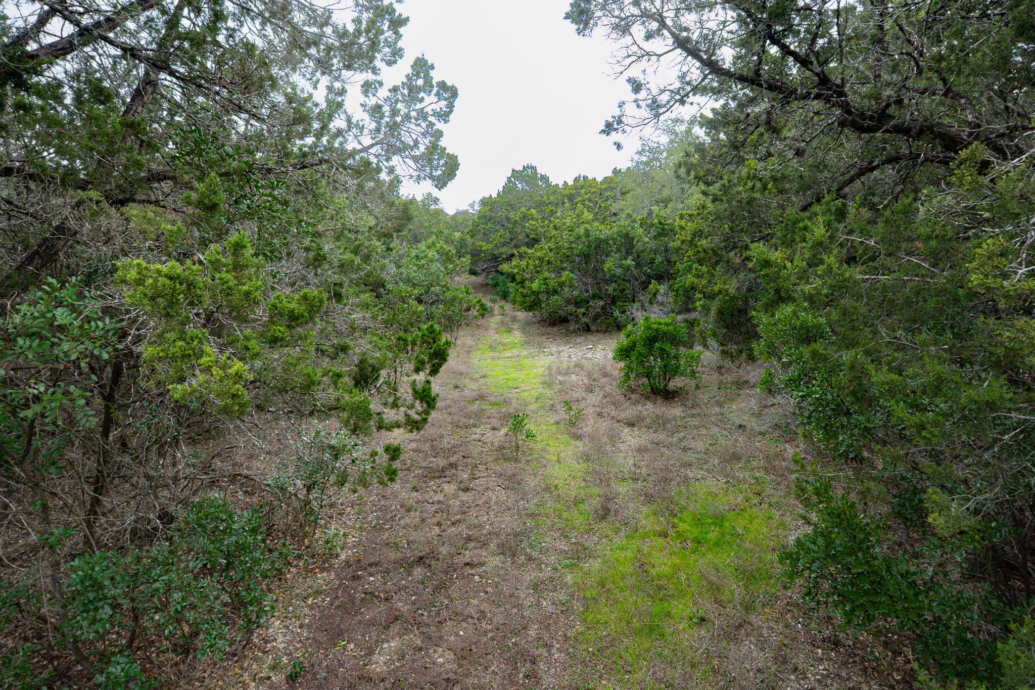 101 Blanco River Ranch, San Marcos, TX 78666