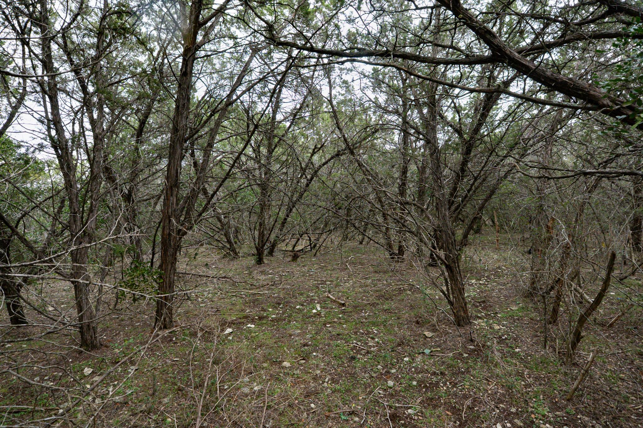 101 Blanco River Ranch, San Marcos, TX 78666