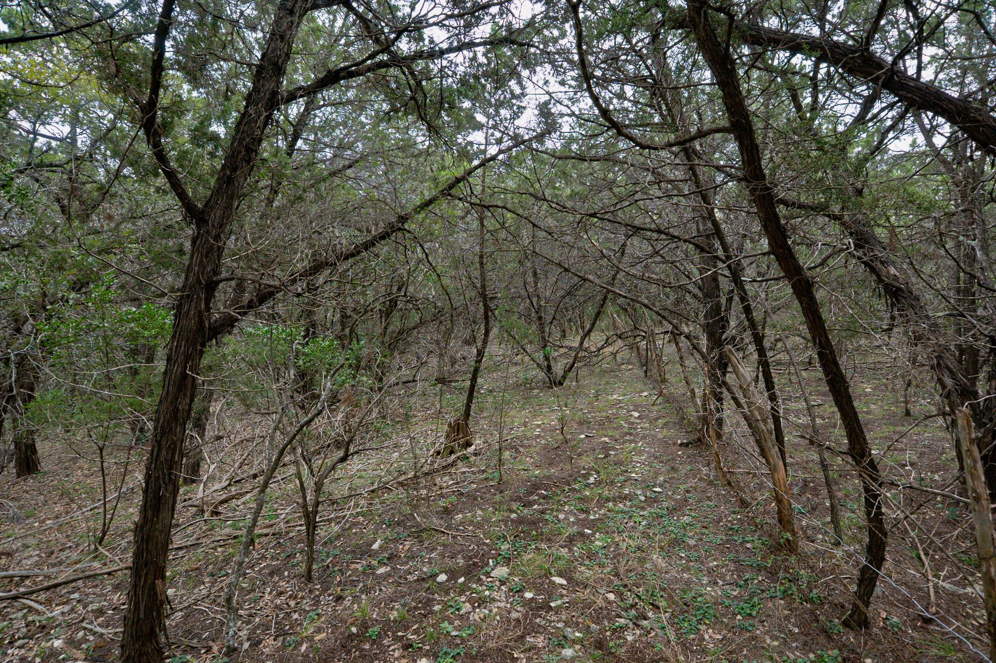 101 Blanco River Ranch, San Marcos, TX 78666