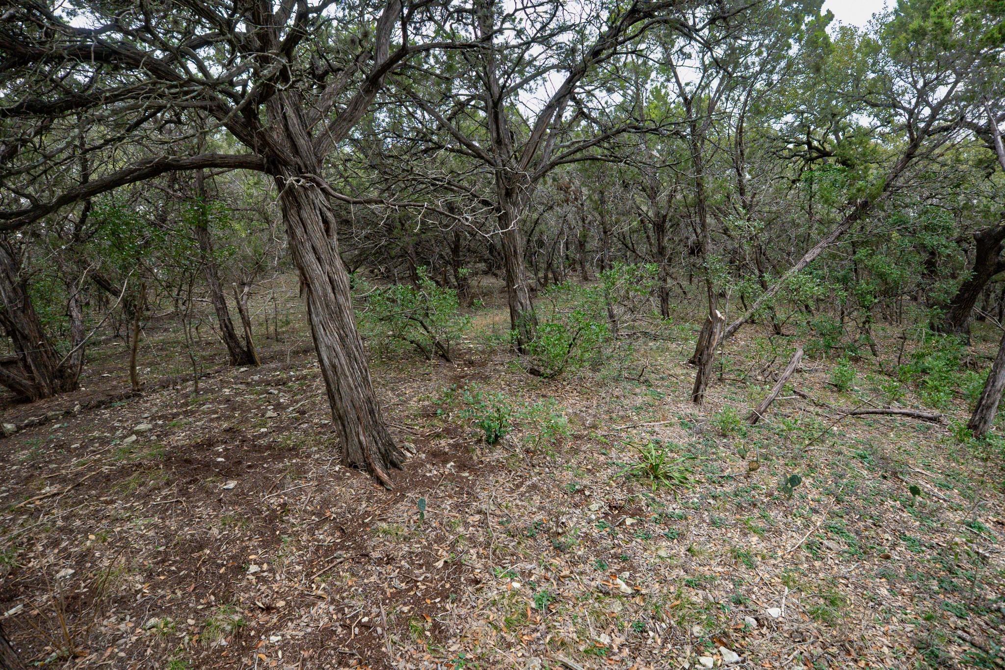 101 Blanco River Ranch, San Marcos, TX 78666