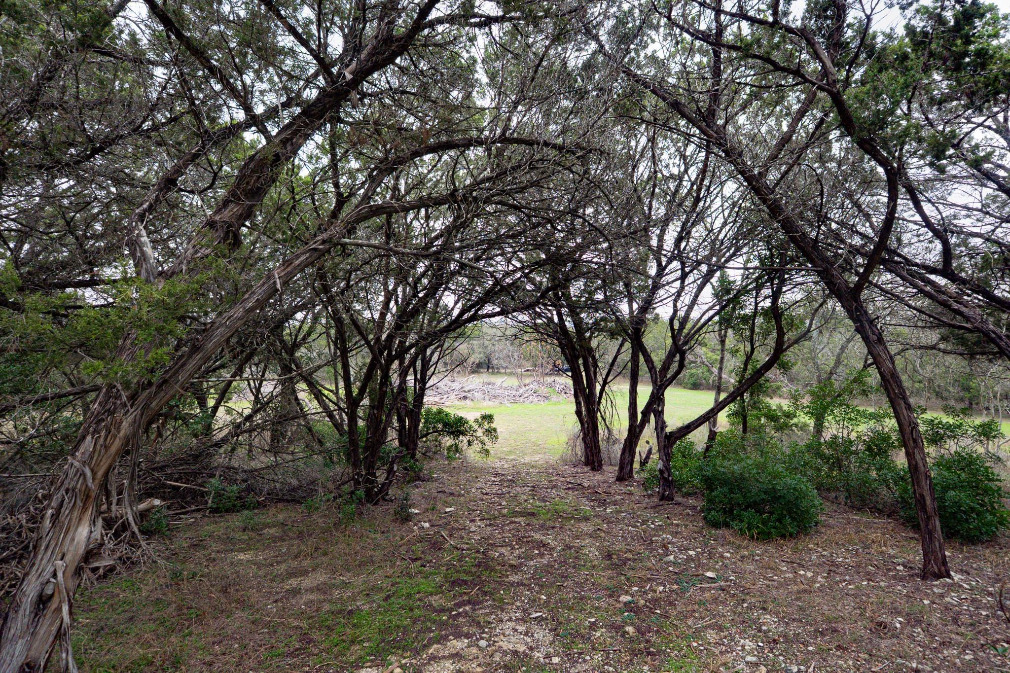 101 Blanco River Ranch, San Marcos, TX 78666