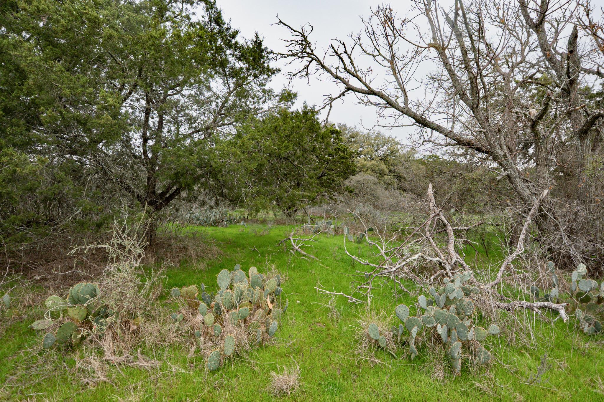 101 Blanco River Ranch, San Marcos, TX 78666