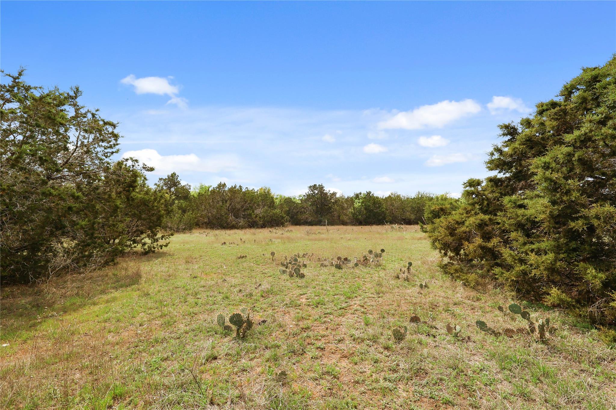 1371 County Road 281, Leander, TX 78641