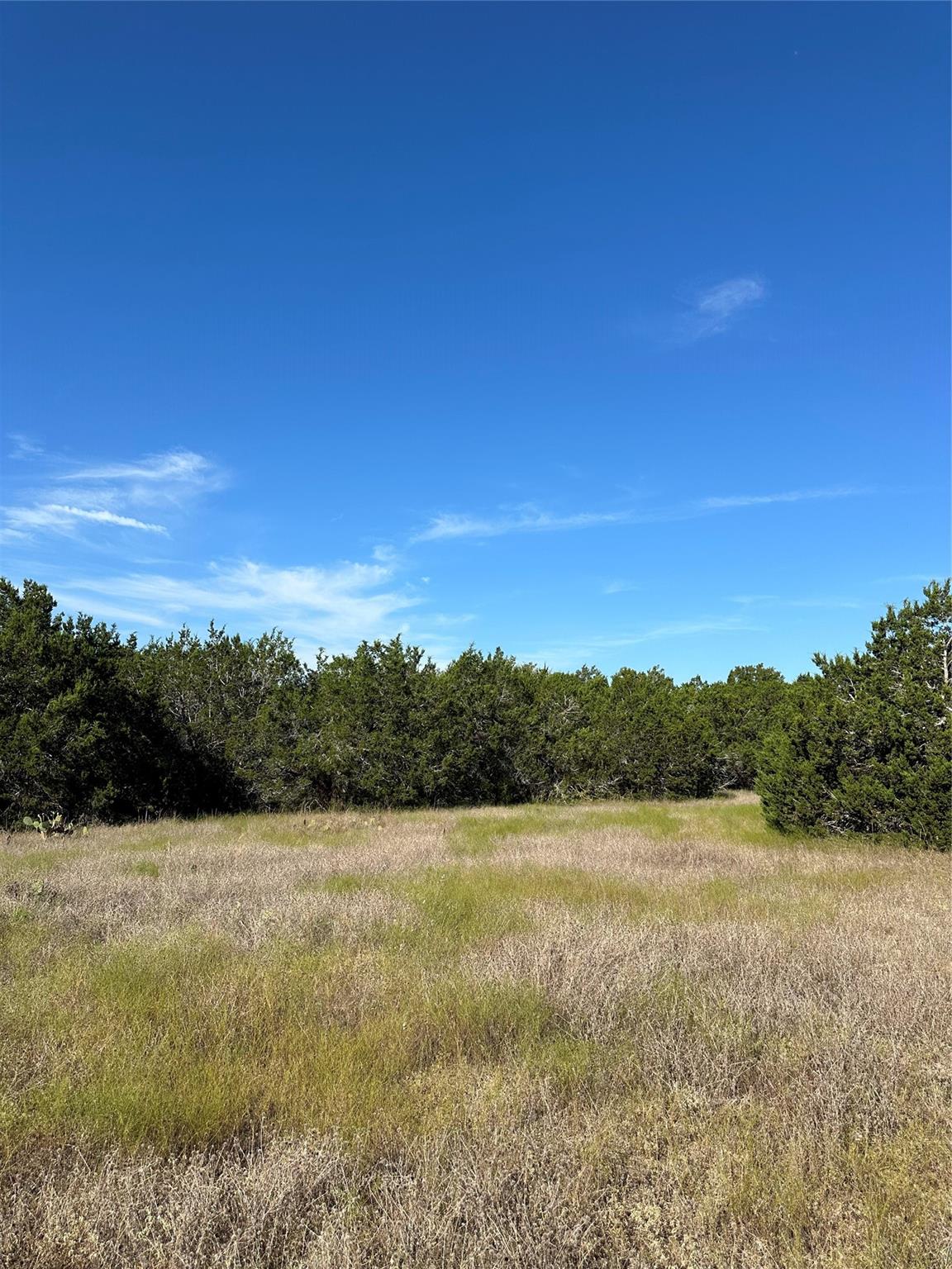 1371 County Road 281, Leander, TX 78641