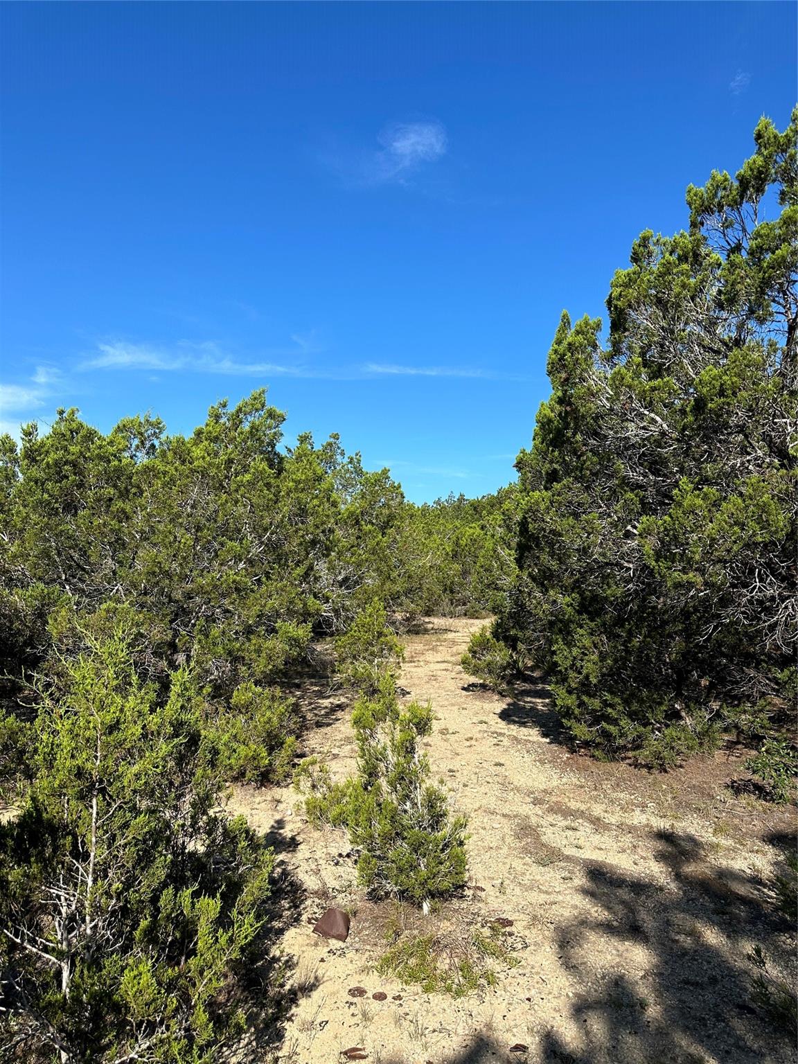 1371 County Road 281, Leander, TX 78641