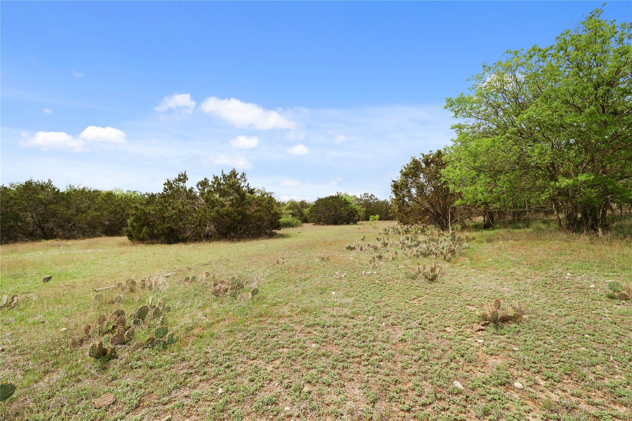 1371 County Road 281, Leander, TX 78641
