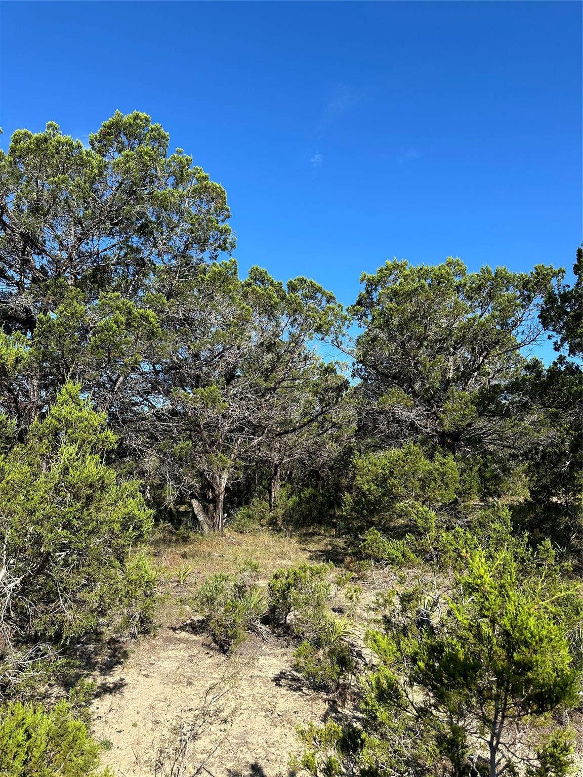 1371 County Road 281, Leander, TX 78641