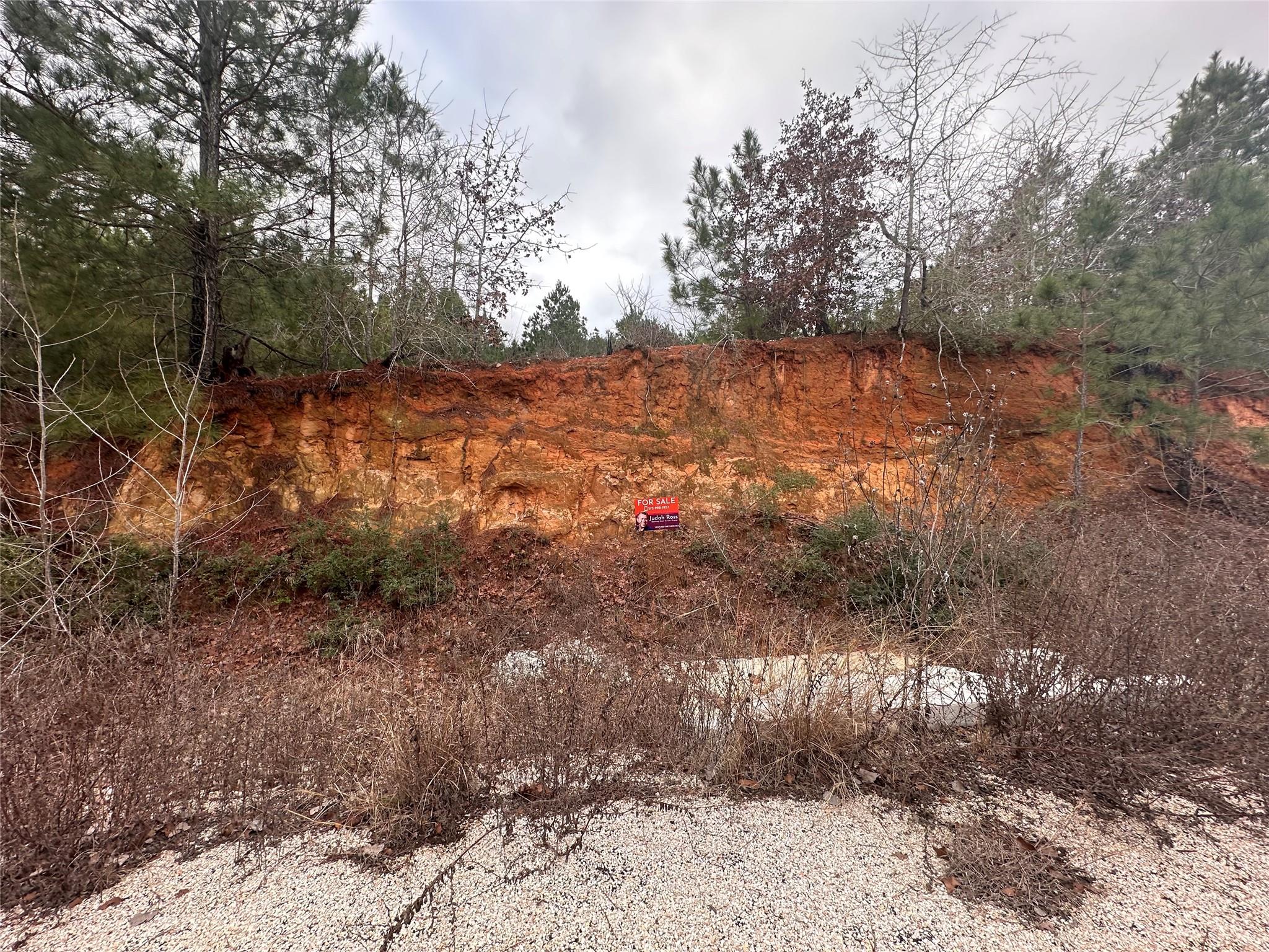 LOT 171 / R32192 Keo Kea Ct, Bastrop, TX 78602