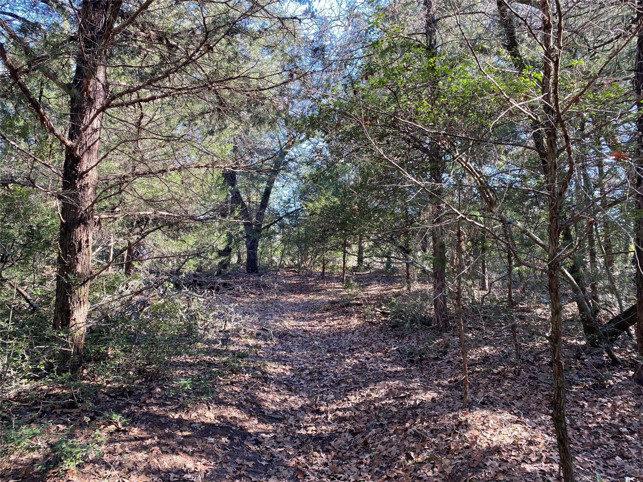 TBD County Road 401, Lexington, TX 78947