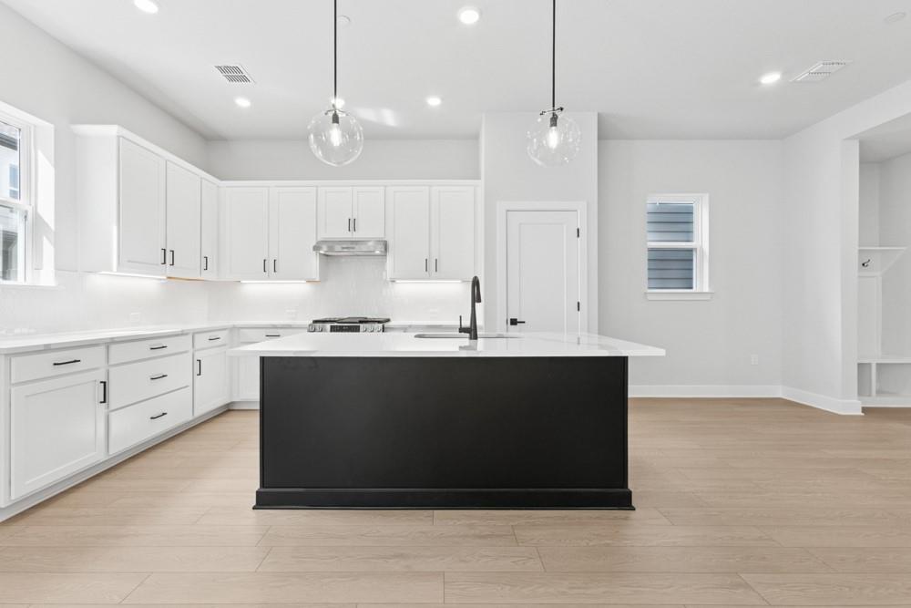 1019 Lucinda Williams Dr, Austin, TX 78744