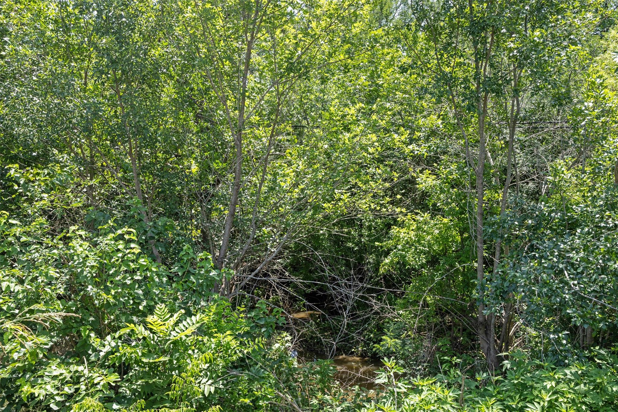 0 Fm-969 Rd, Austin, TX 78653
