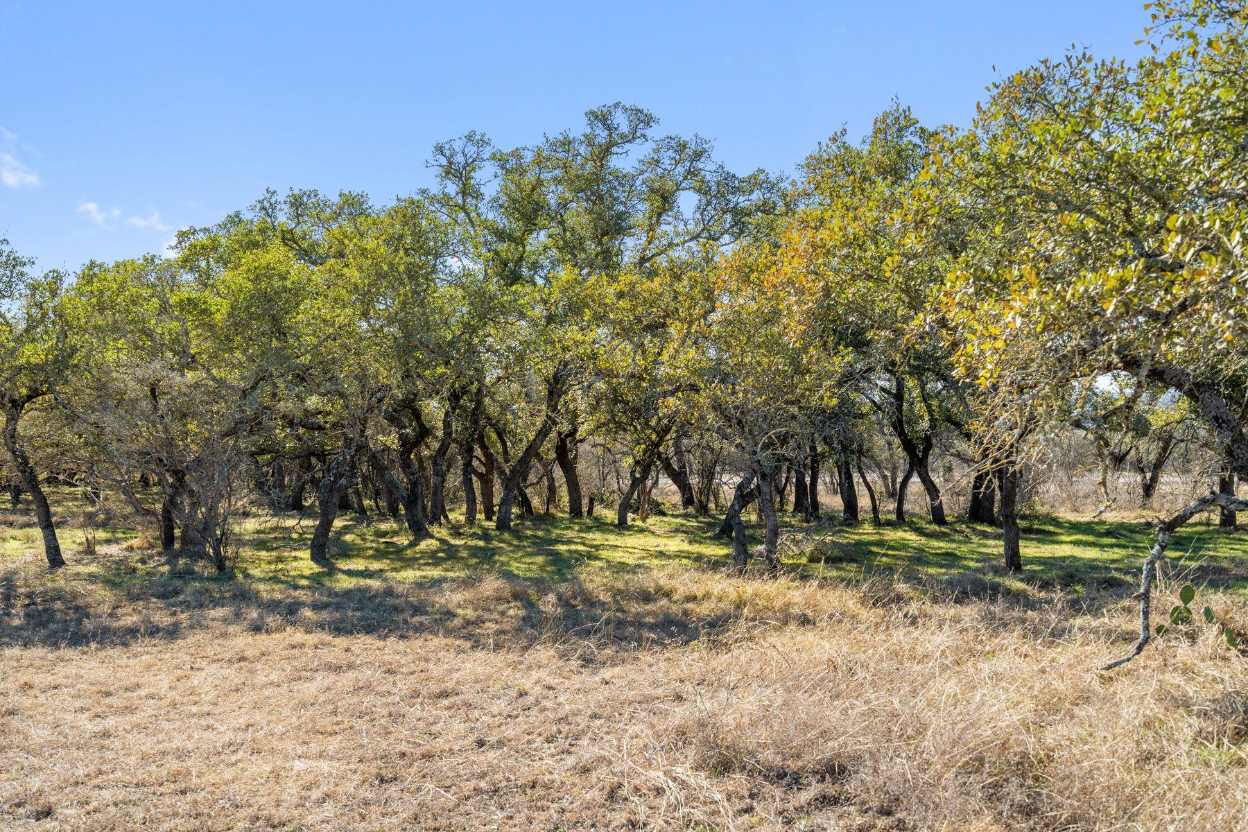 1422 RM 2766, Johnson City, TX 78636