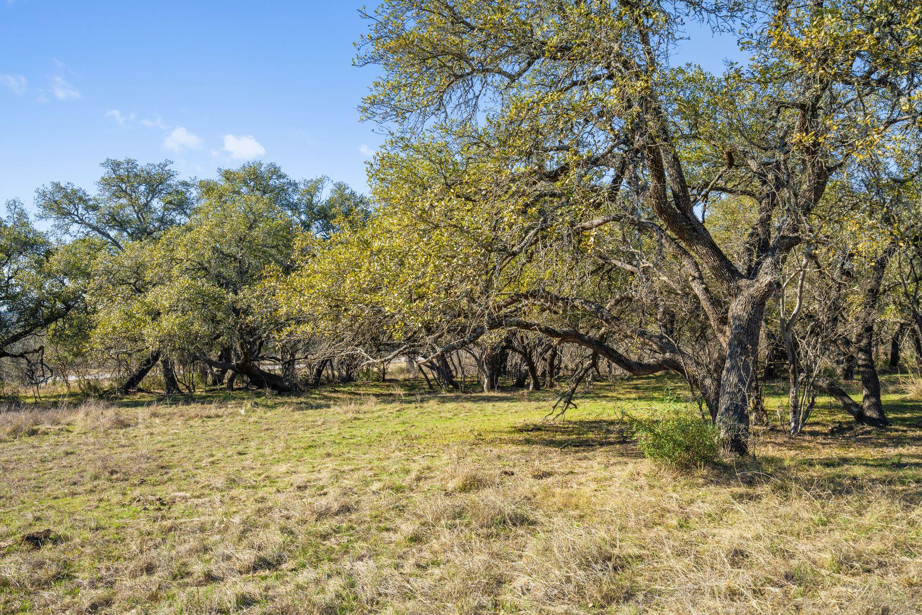 1422 RM 2766, Johnson City, TX 78636