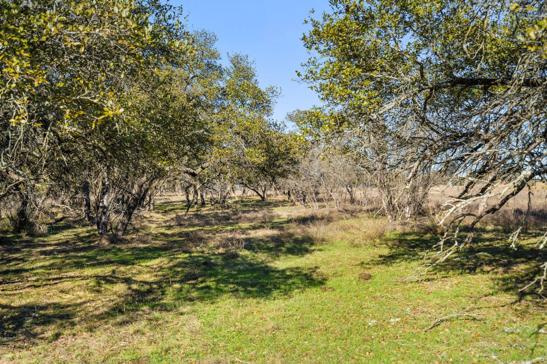 1422 RM 2766, Johnson City, TX 78636