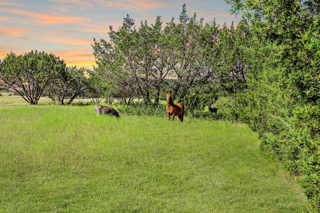 3656 Fm 2657, Copperas Cove, TX 76539