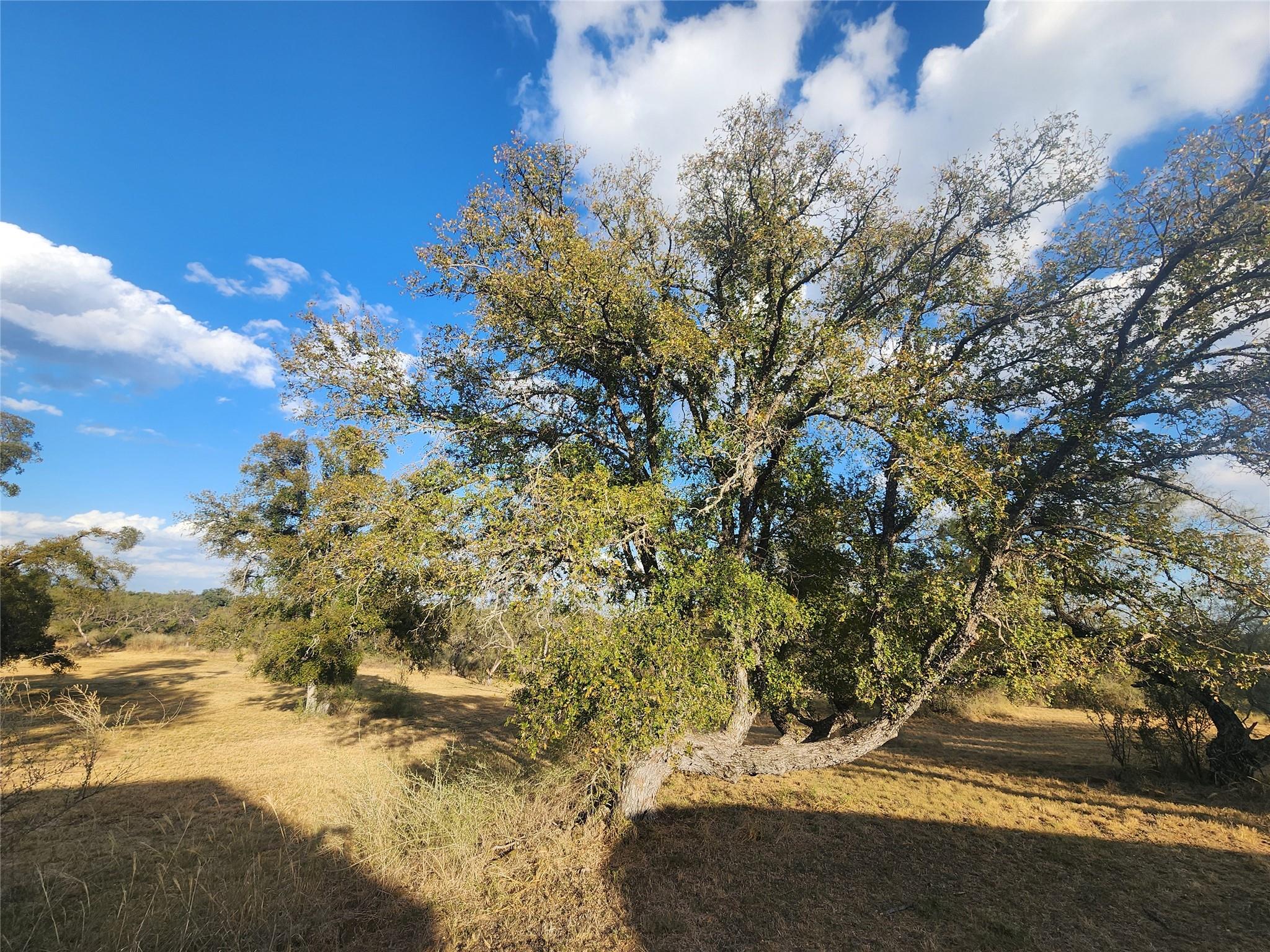 111 S Rio Llano Dr, Llano, TX 78643