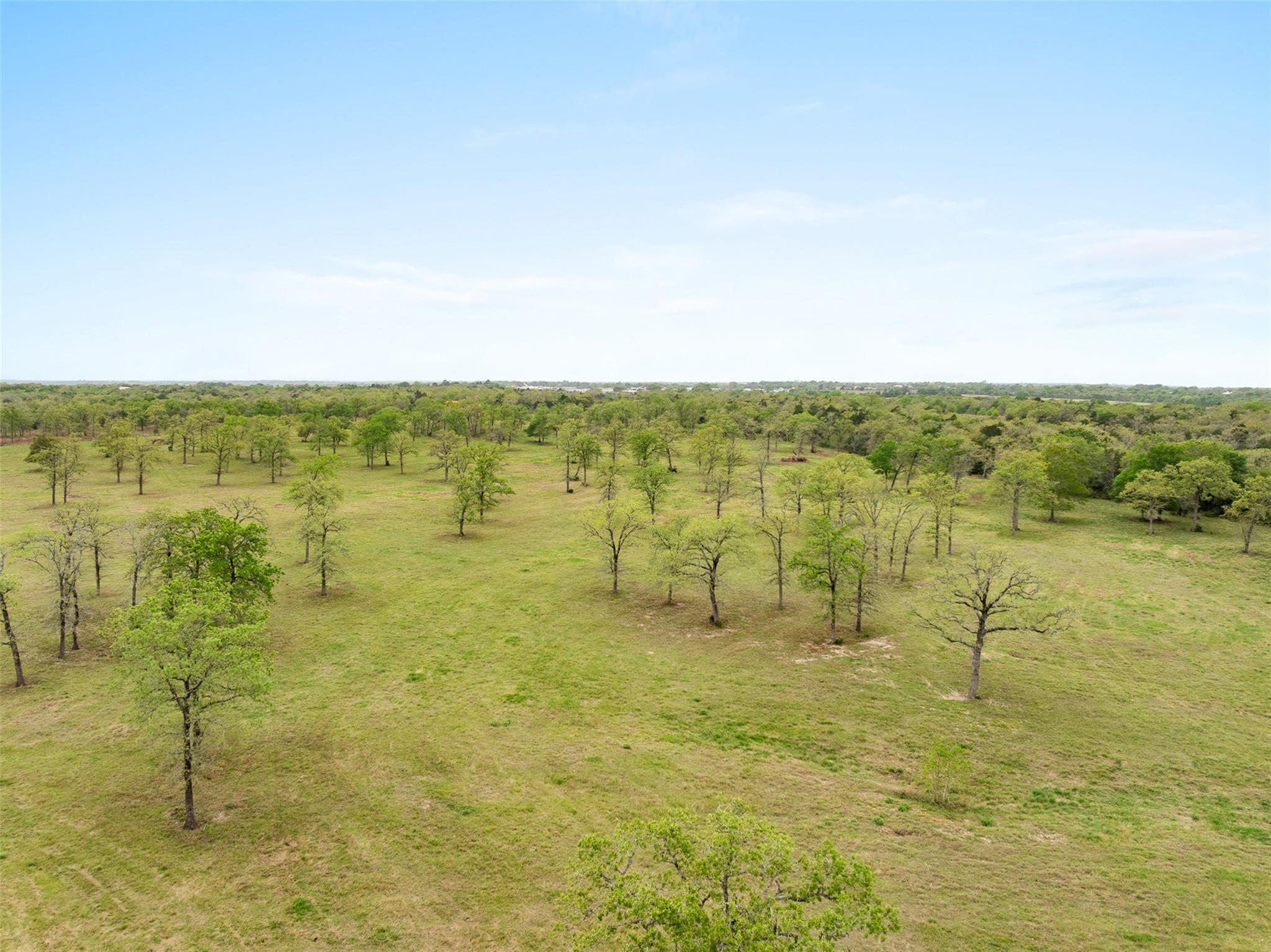 3610 Schulle Rd, Round Top, TX 78954