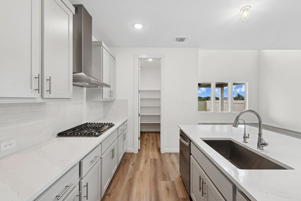 308 Amista Dr, Liberty Hill, TX 78642