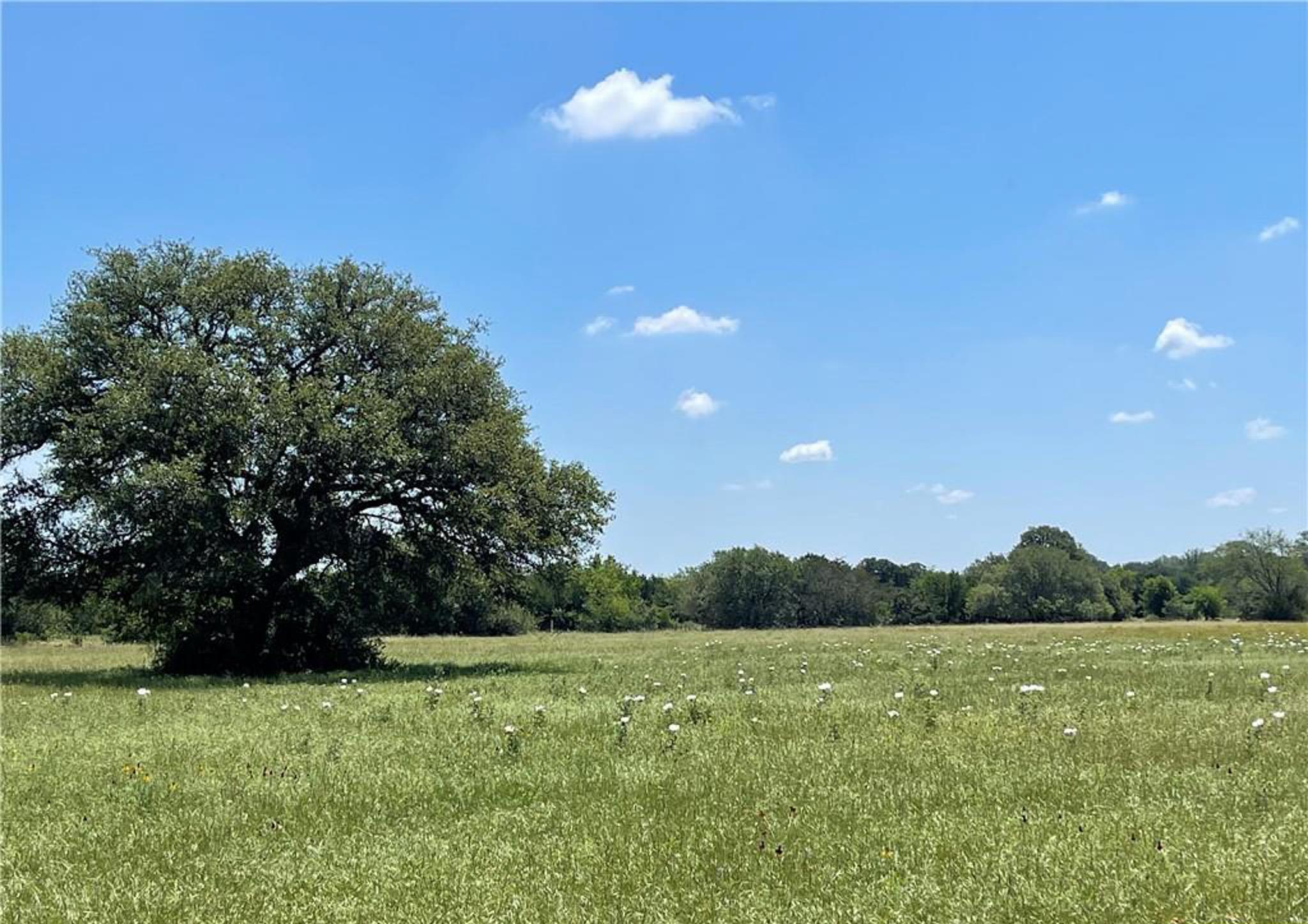 12323 Crows Ranch Rd, Salado, TX 76571